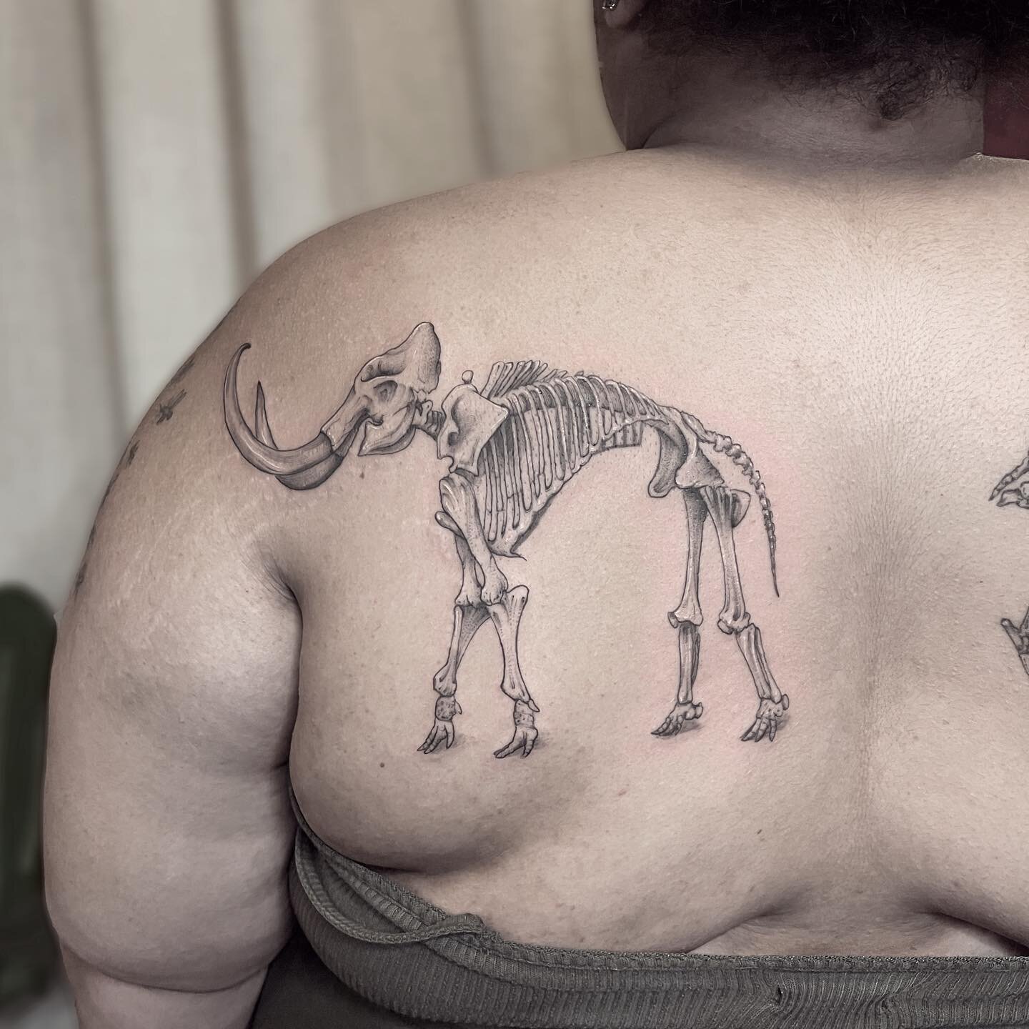 .
Mammoth skeleton next to a healed irish elk
.
.
.
#skeletontattoo #mammothtattoo #illustrativetattoo #finelinetattoo #mntattooer #minneapolistattooartist #tattooideas #prehistorictattoo #blackwork