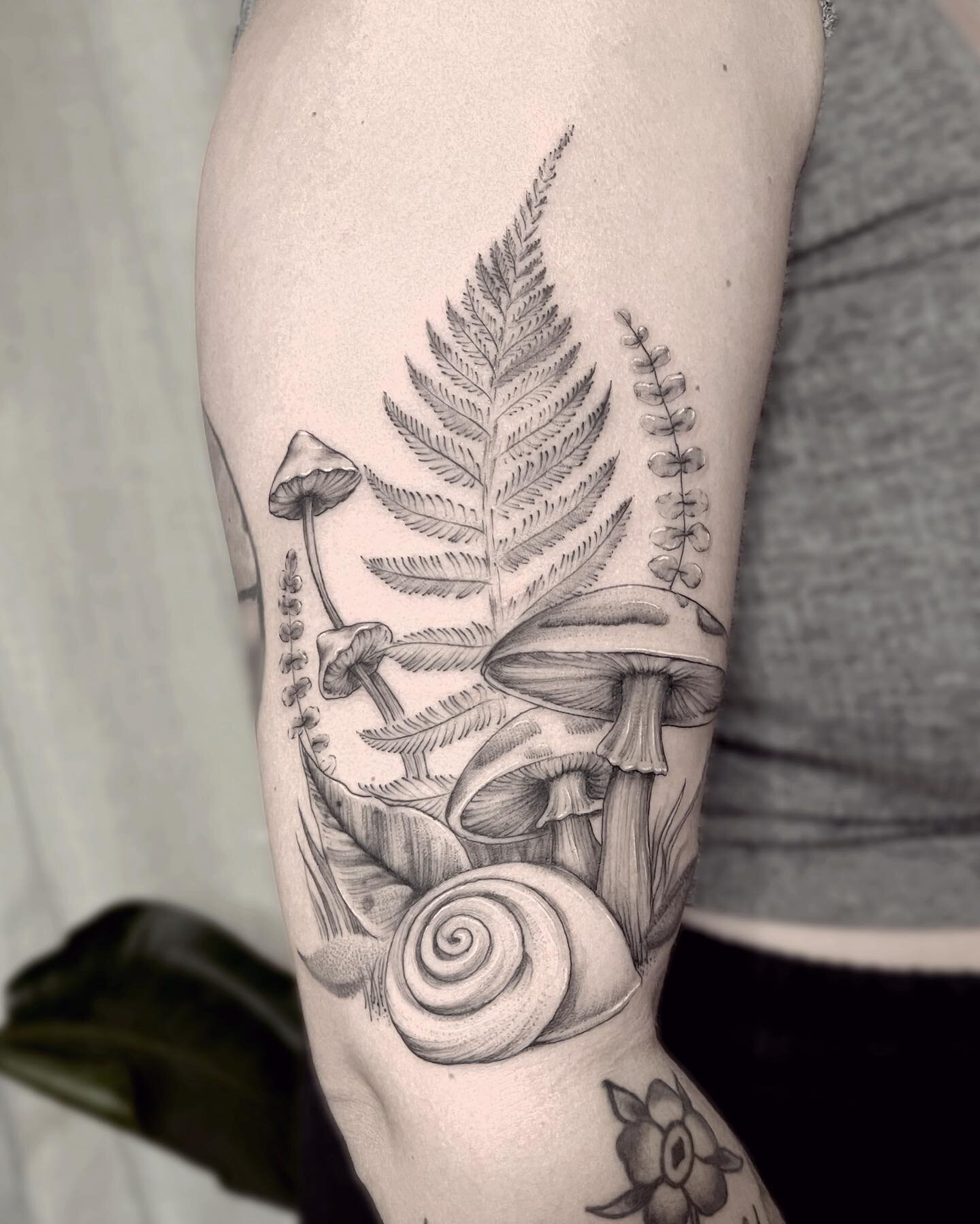 .
🐌🌿🍄
.
.
.
#tattoo #tattoos #mushroomtattoo #foliagetattoo #snailtattoo #finelinetattoo #tattoodesign #tattooideas #ferntattoo #mntattooers #minneapolistattooartist