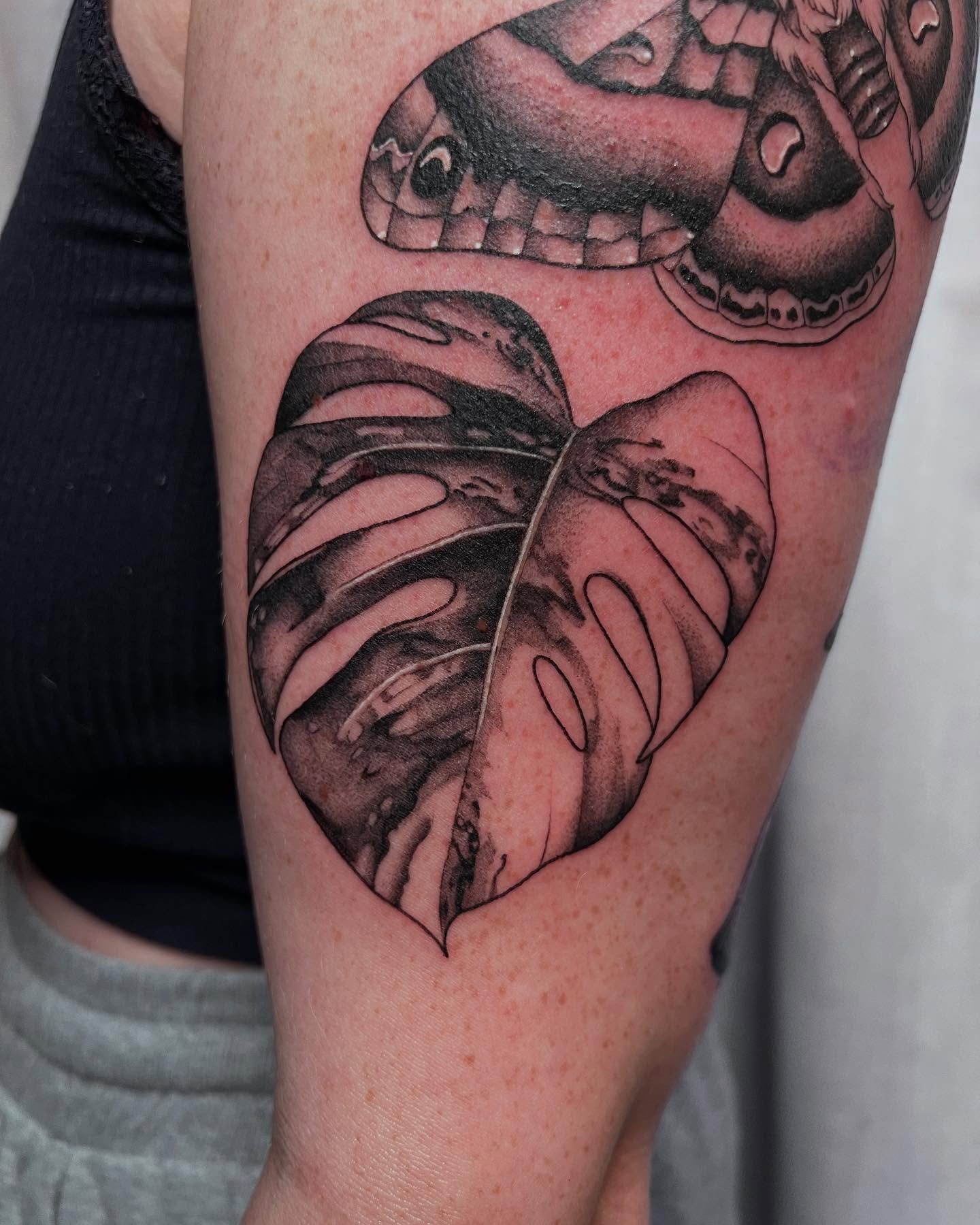 Started another nature themed patch work sleeve last week☘️✨ 

-
Books open for May&amp;June📖

Only a couple spots left in April!

-
#mntattooers #femaletattooartist #naturetattoo #varigatedmonsteratattoo #mothtattoo #mushroomtattoo