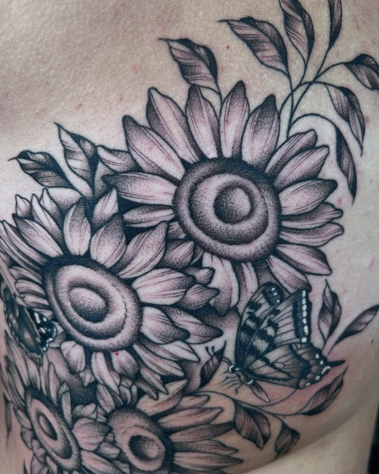 Sunflowers and butterflies🦋🌻

-
Lines healed🥰
-

Books open for June And July📖

-
#mntattooers #mnfemaletattooartist #floraltattoo #stippleshadingtattoo #sunflowertattoo #butterflytattoo