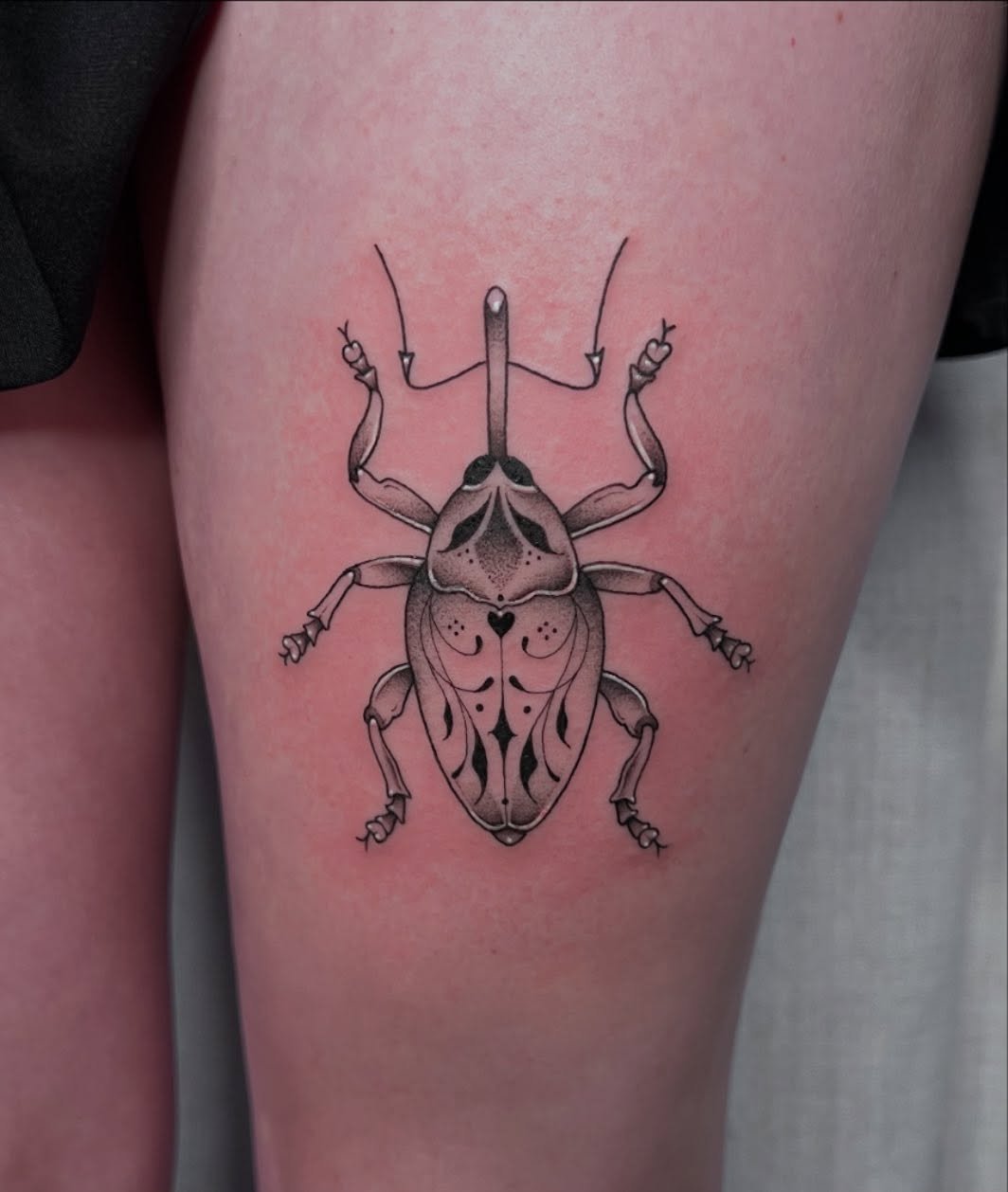 Ornamental weevil 🪲✨

-
#mntattooers #femaletattooartist #weeviltattoo #ornamentaltattoo #stippletattoo
