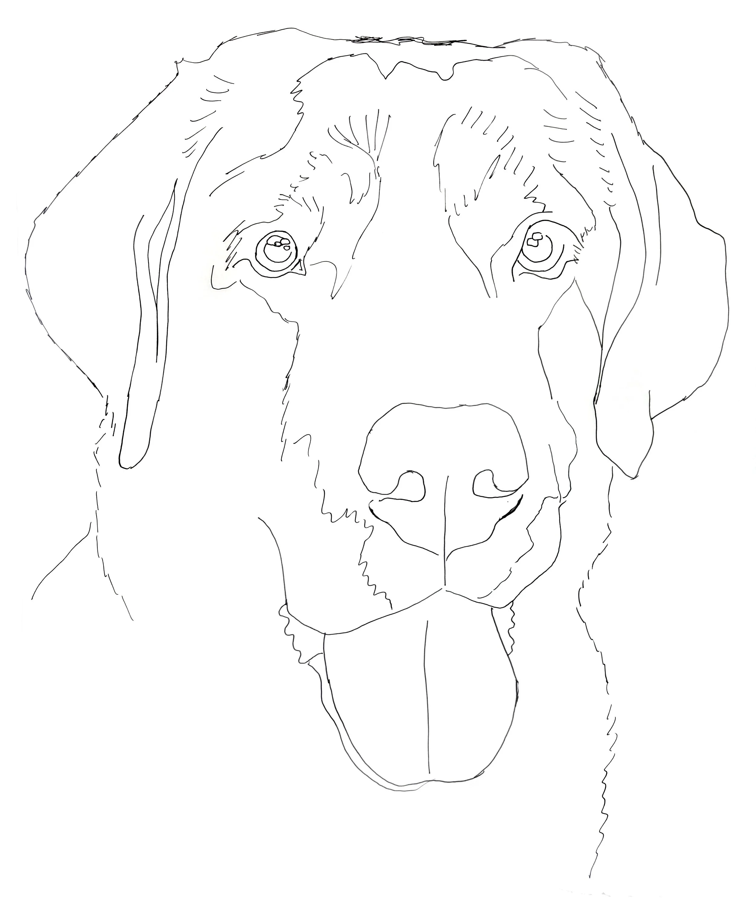 Chocolate Lab Tracing