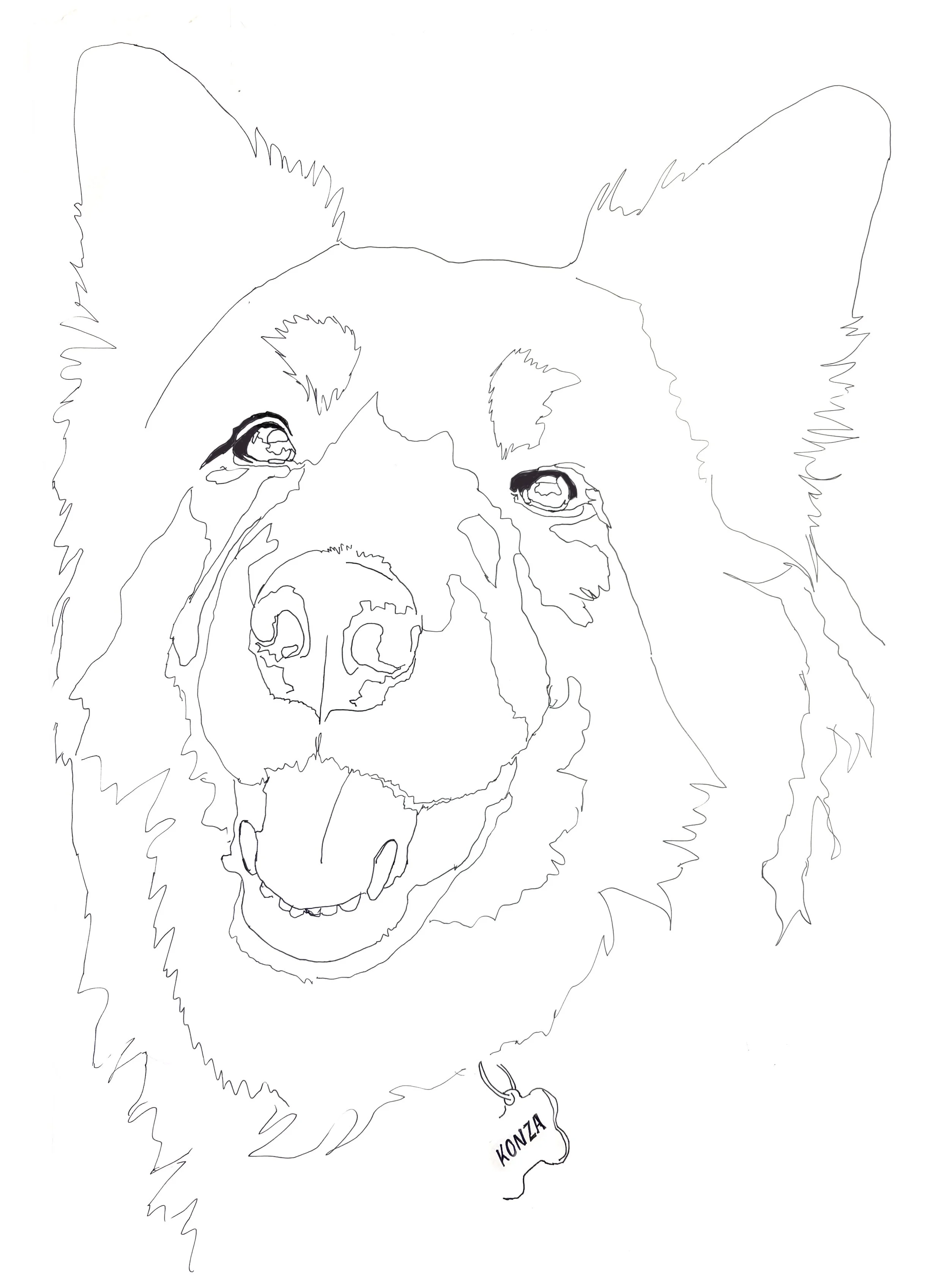 Dog Series Tracing