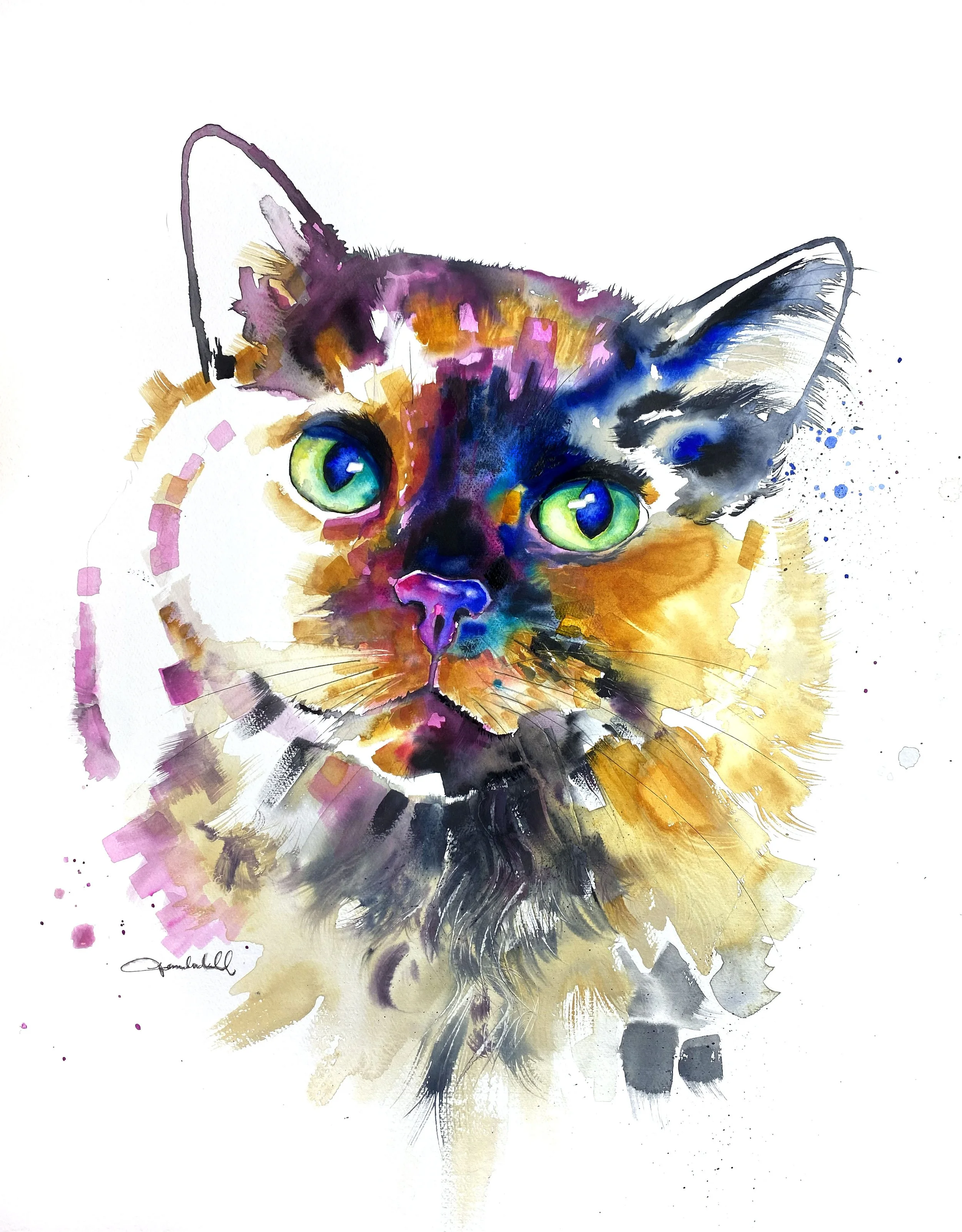 Tortie Cat_Final.jpg