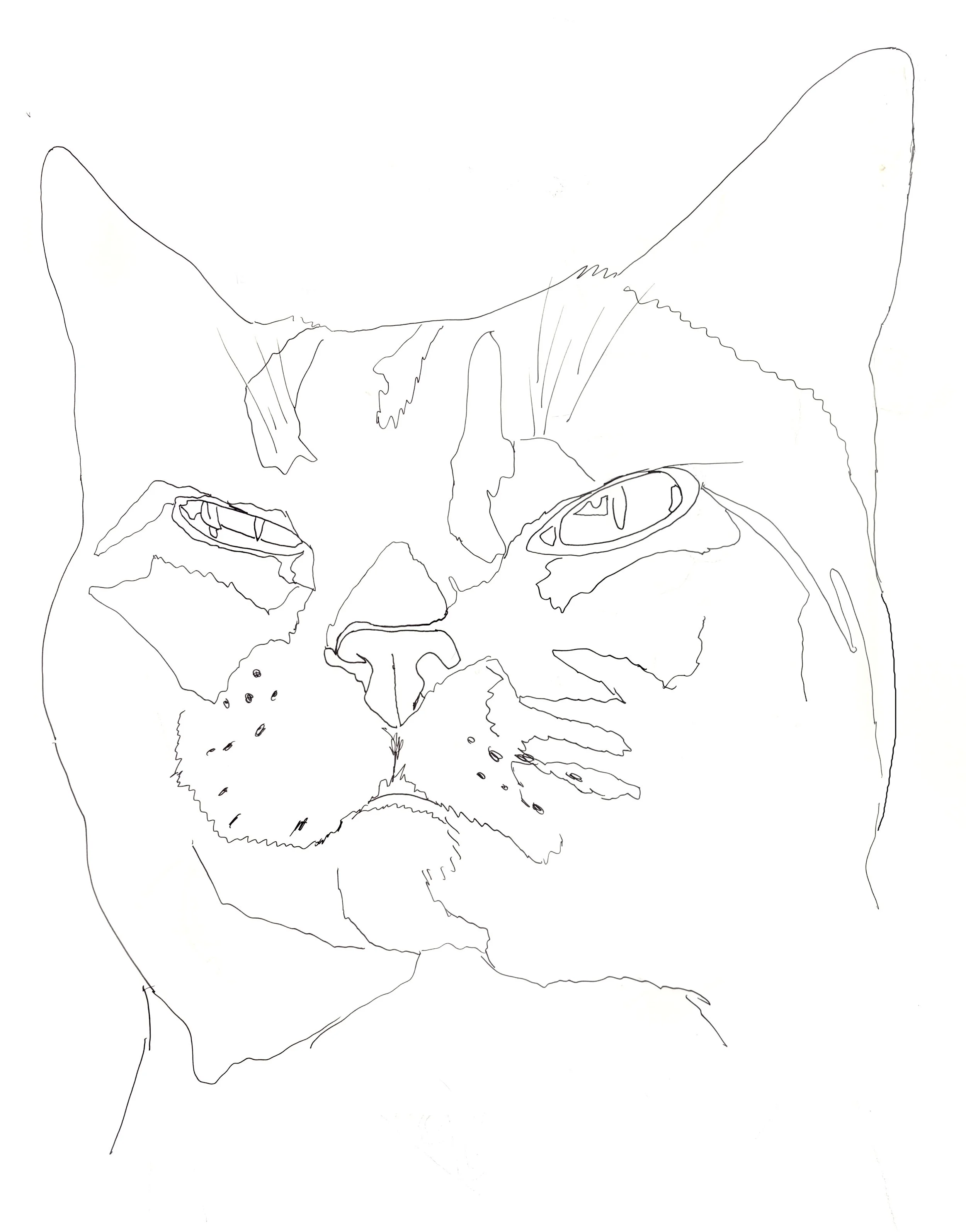 Gamma Cat Tracing