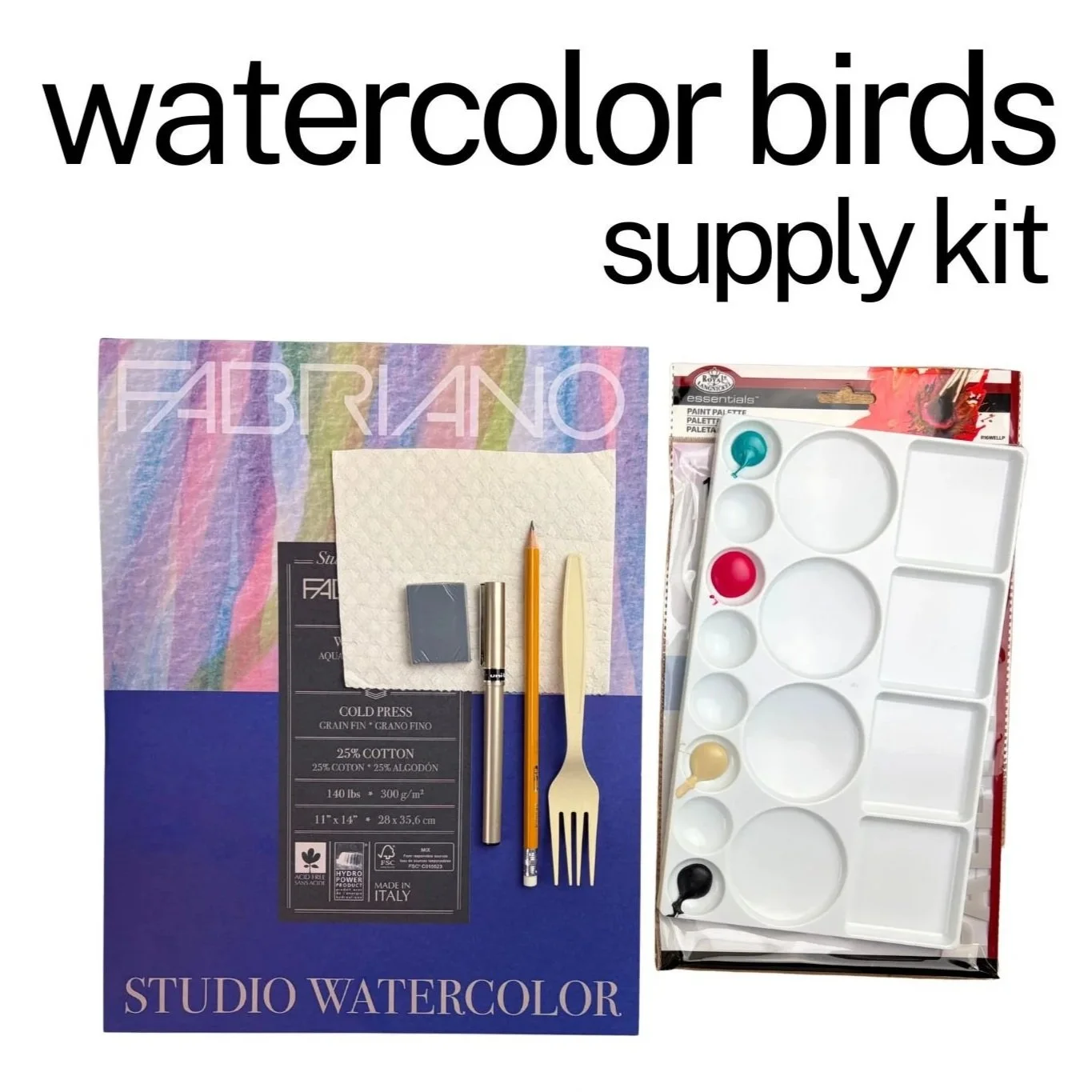 Watercolor Workshop Supply Kit - Birds
