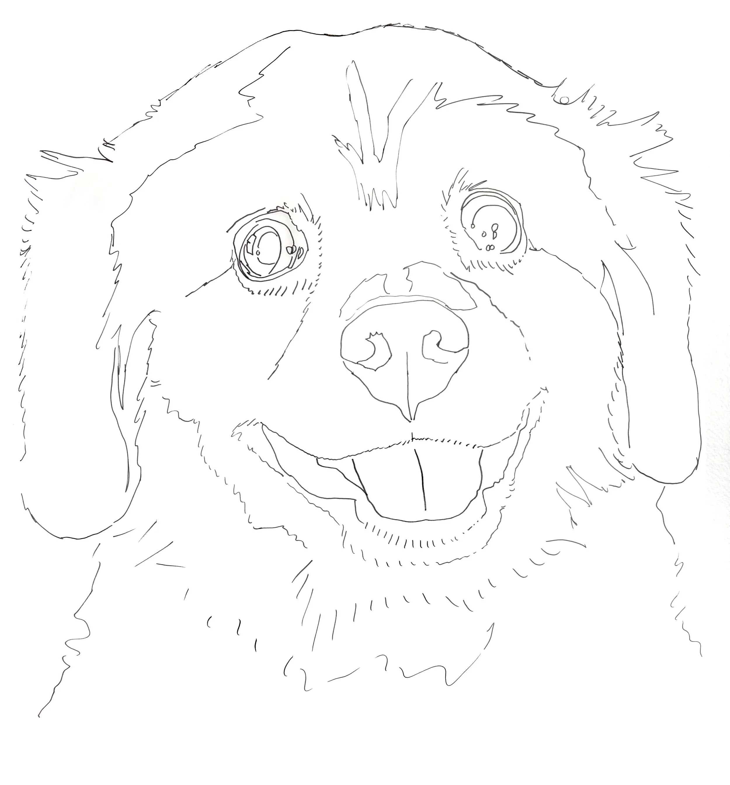 World's Cutest Dog Tracing