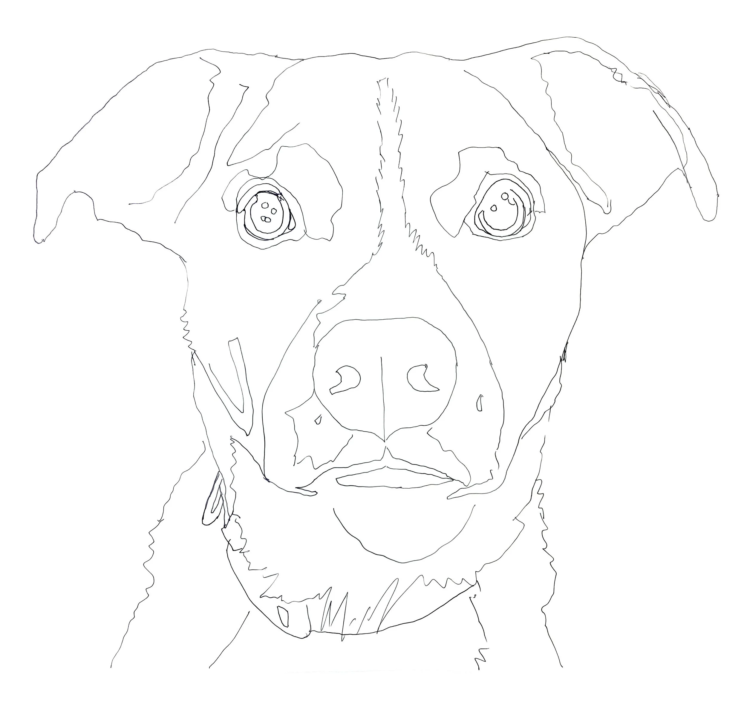 Black & White Dog Tracing
