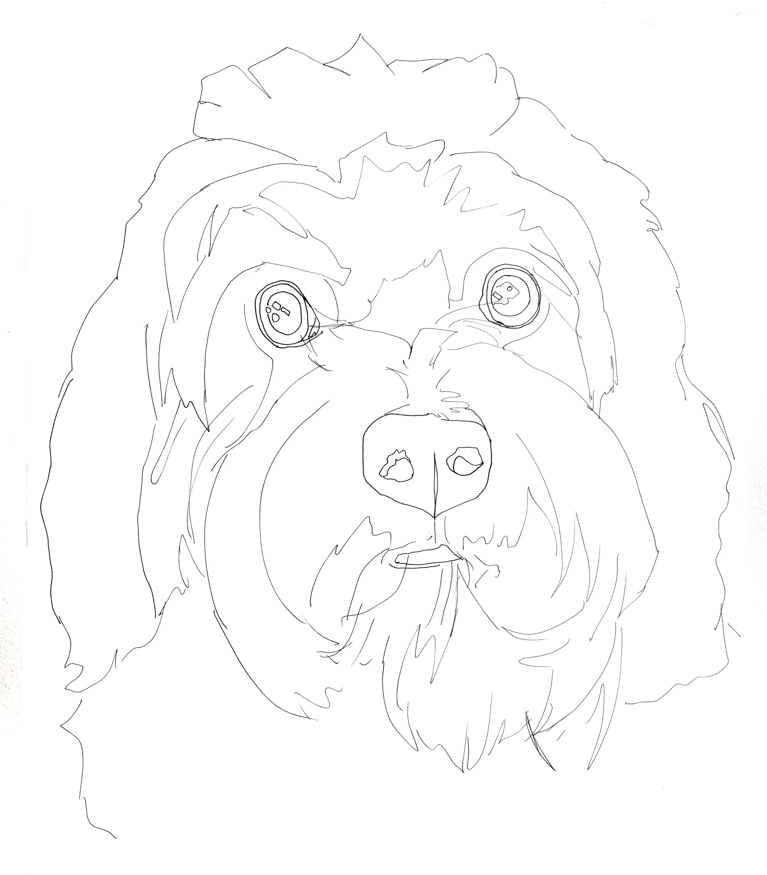 Cockapoo Dog Tracing