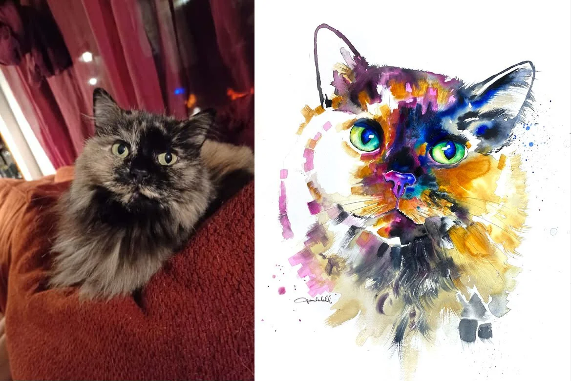 Tortie.jpg