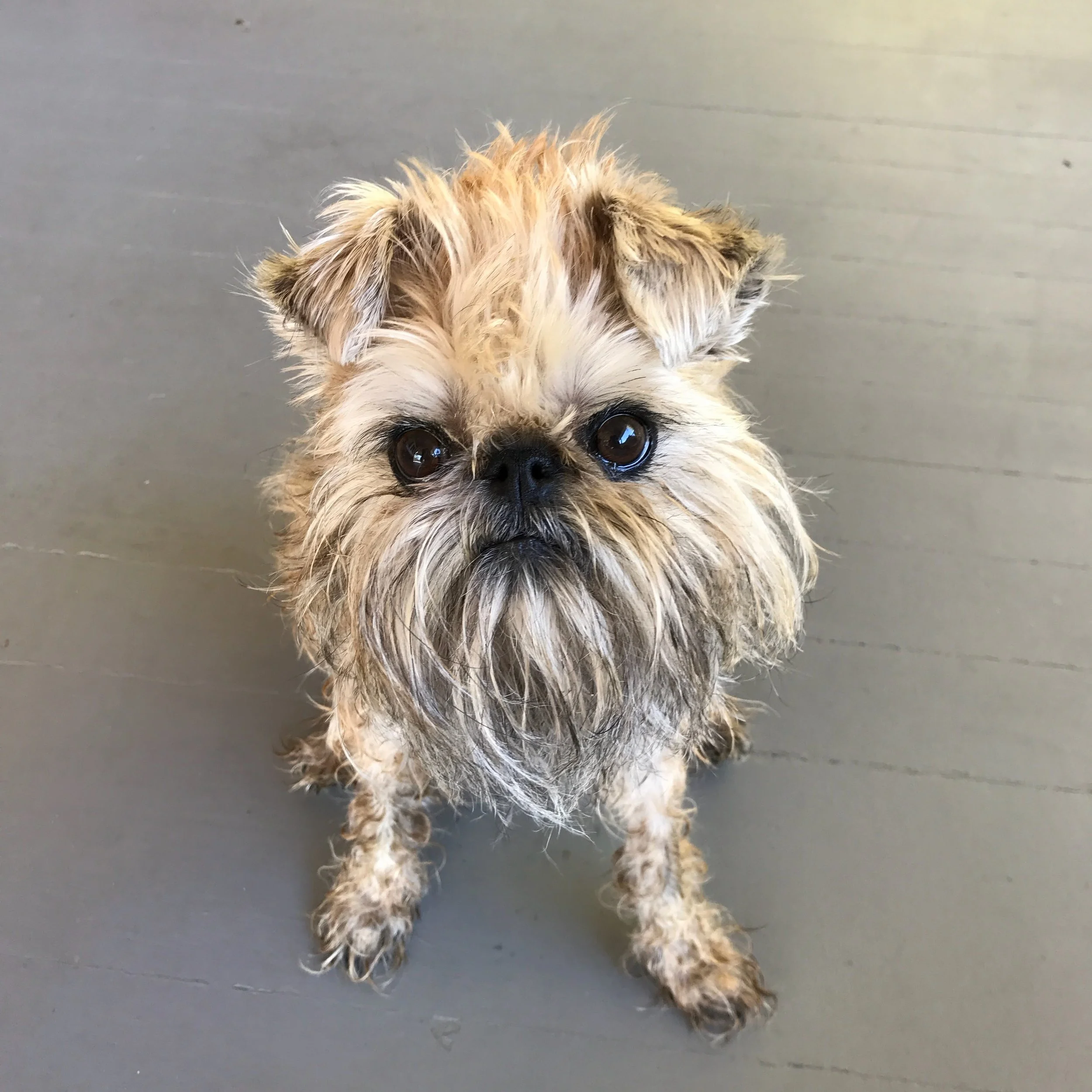 Itty Reference Photo.jpeg