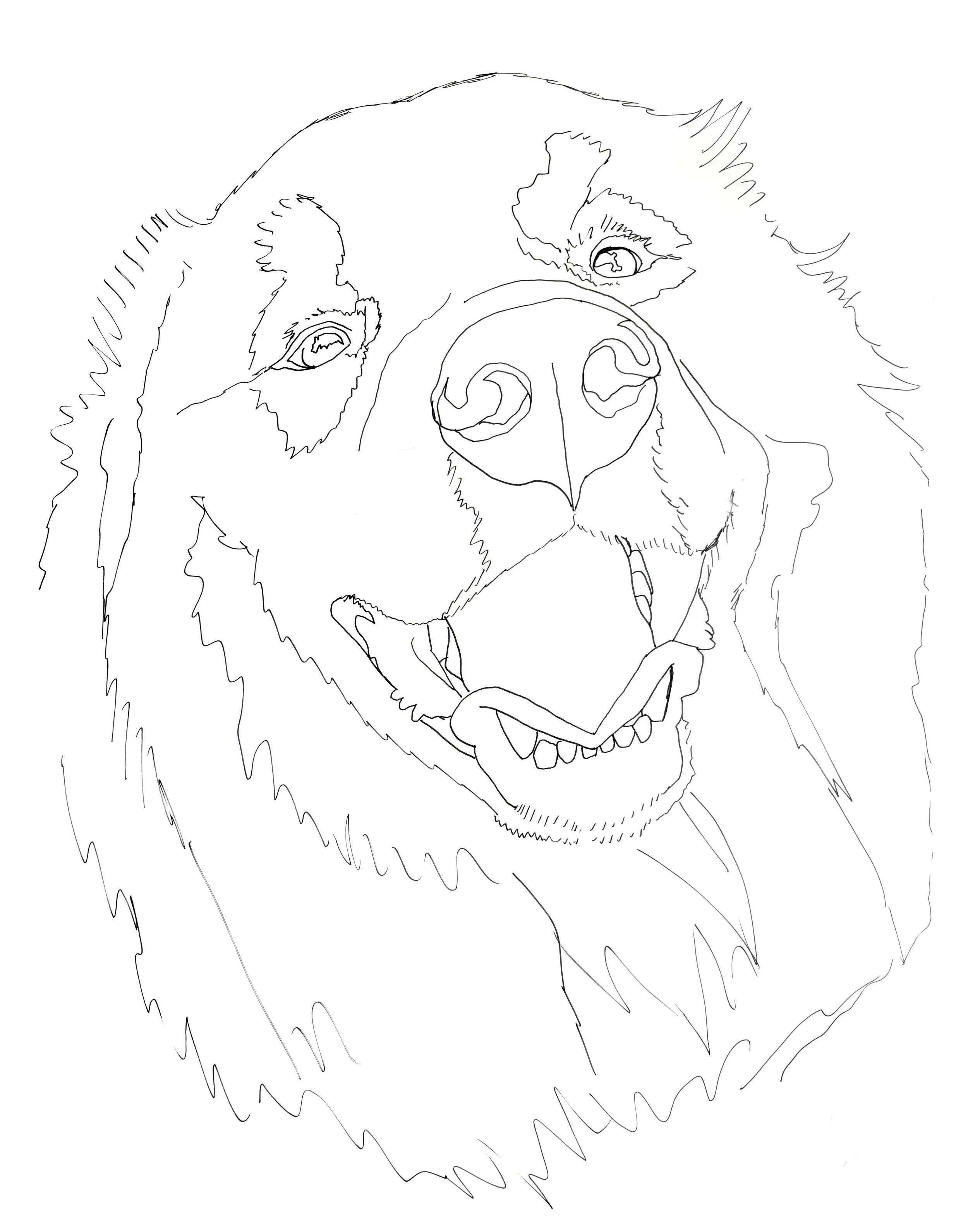 Meatball Tracing