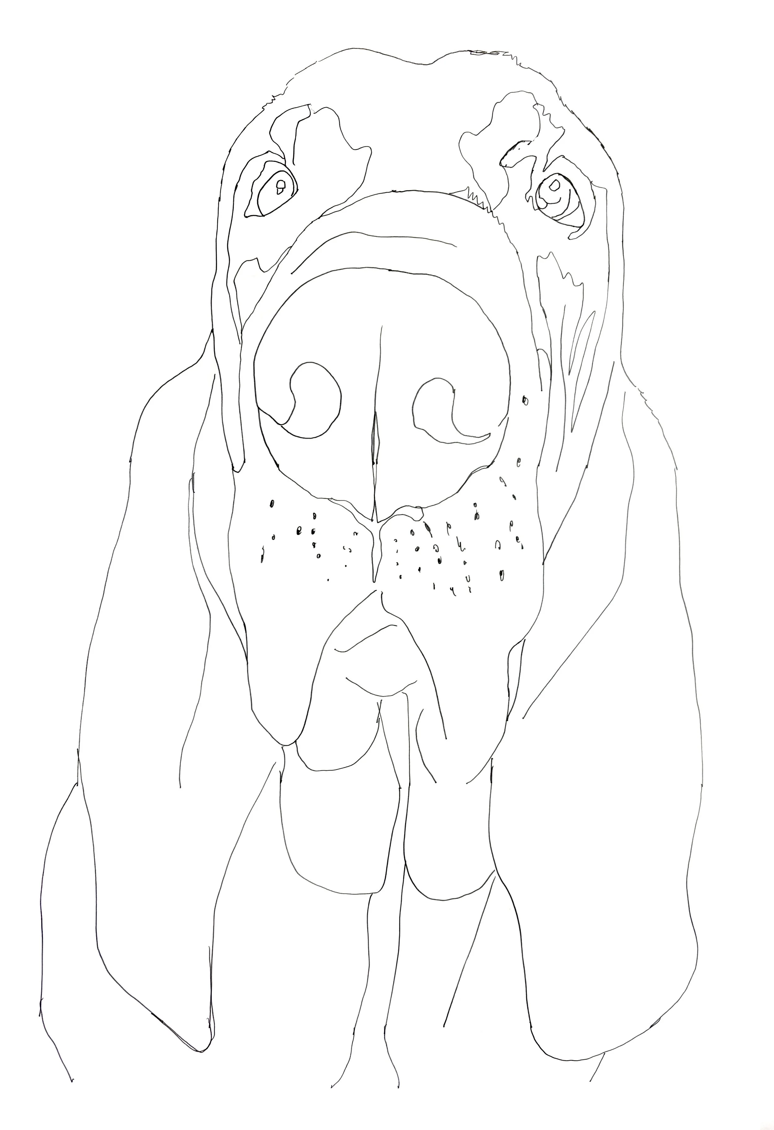 Bloodhound Tracing