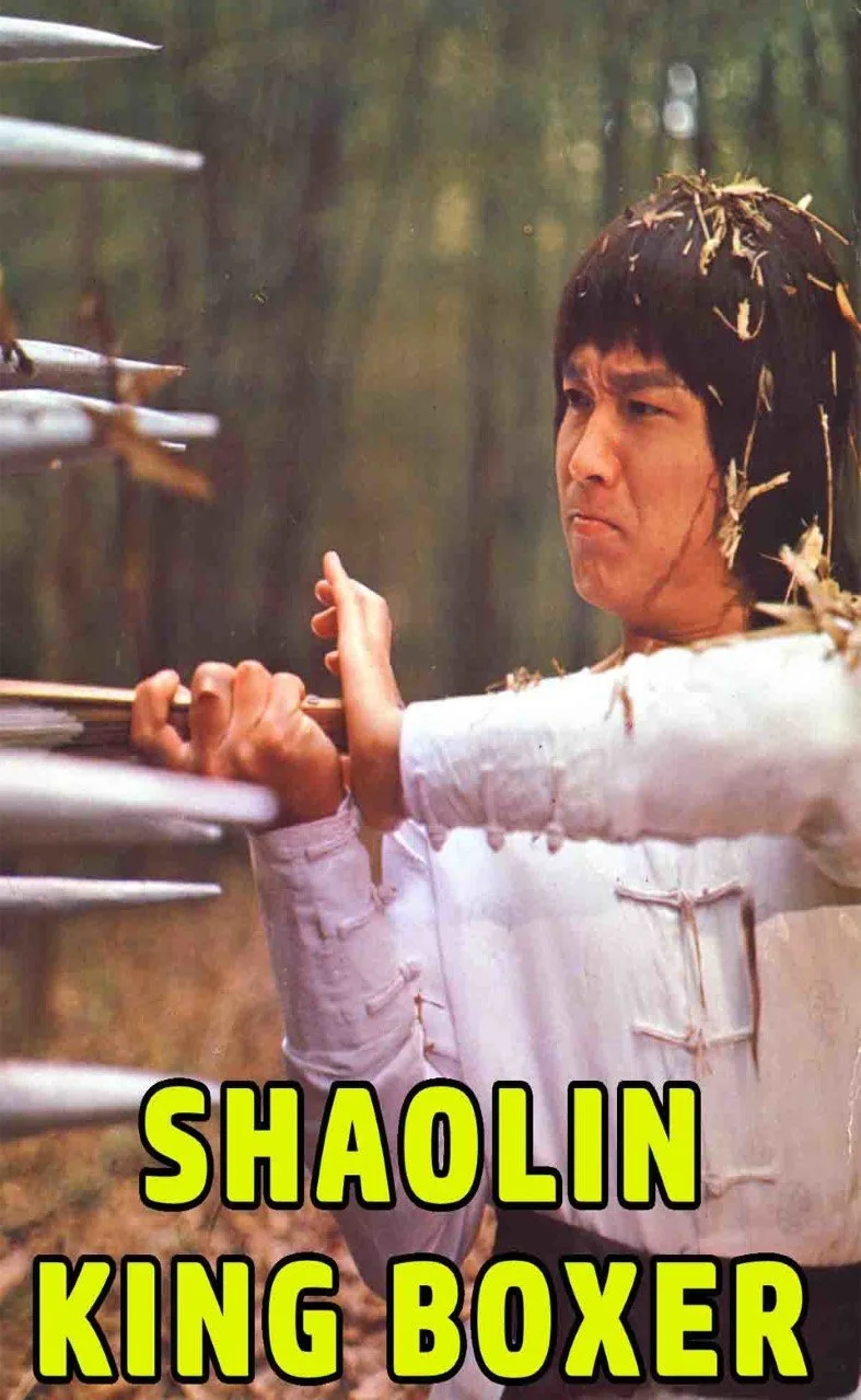 Shaolin Kingboxer DI.jpg