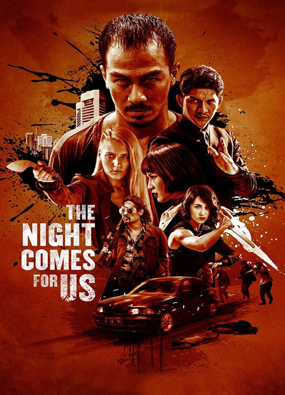 Night Comes For Us DI.jpg