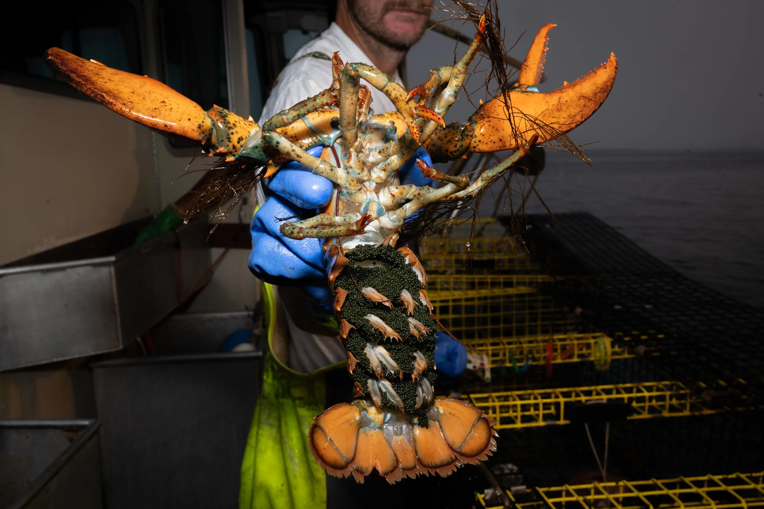Bass Harbor Lobster Fishing-2371.jpg