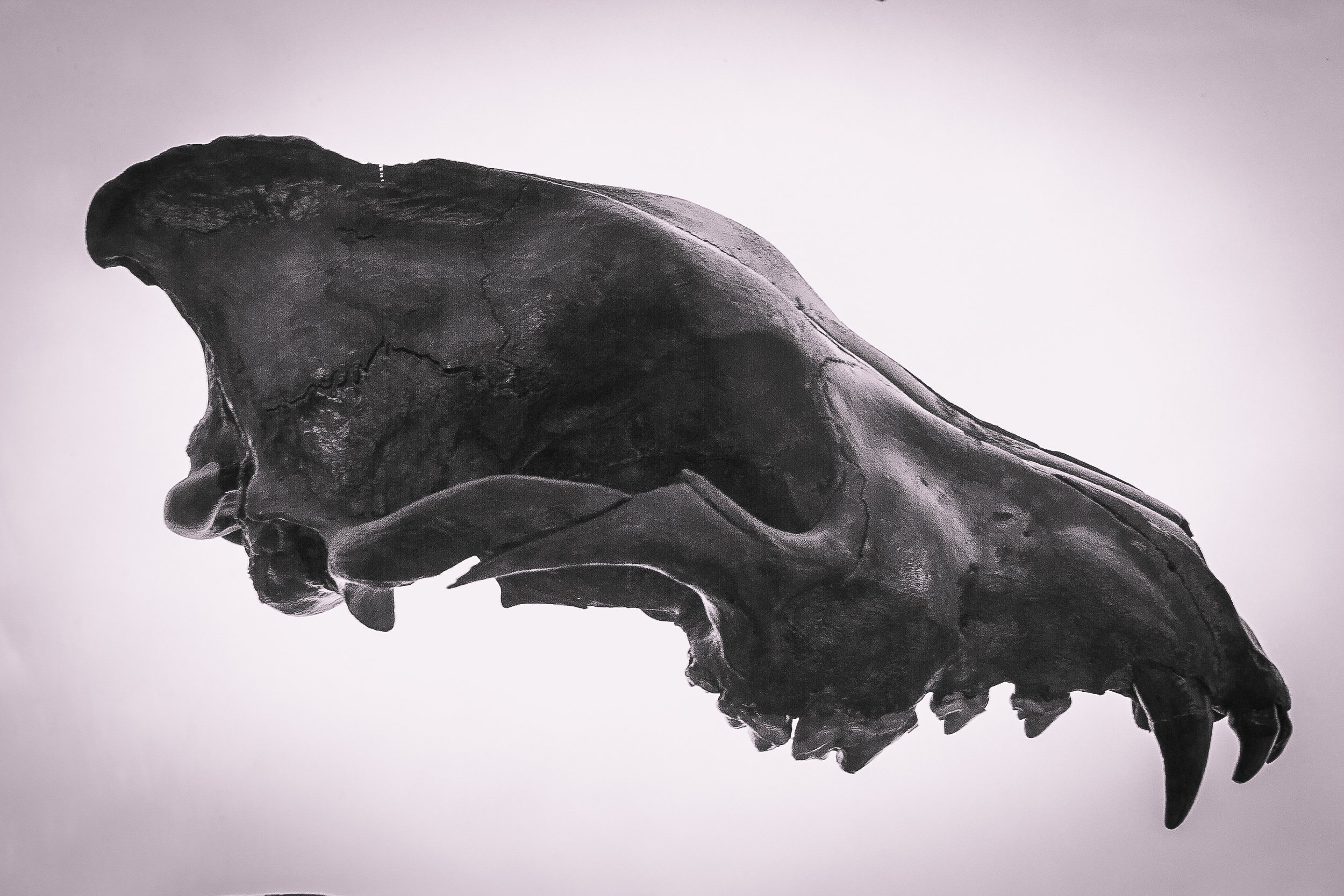 160217untitled shoot9650.jpg