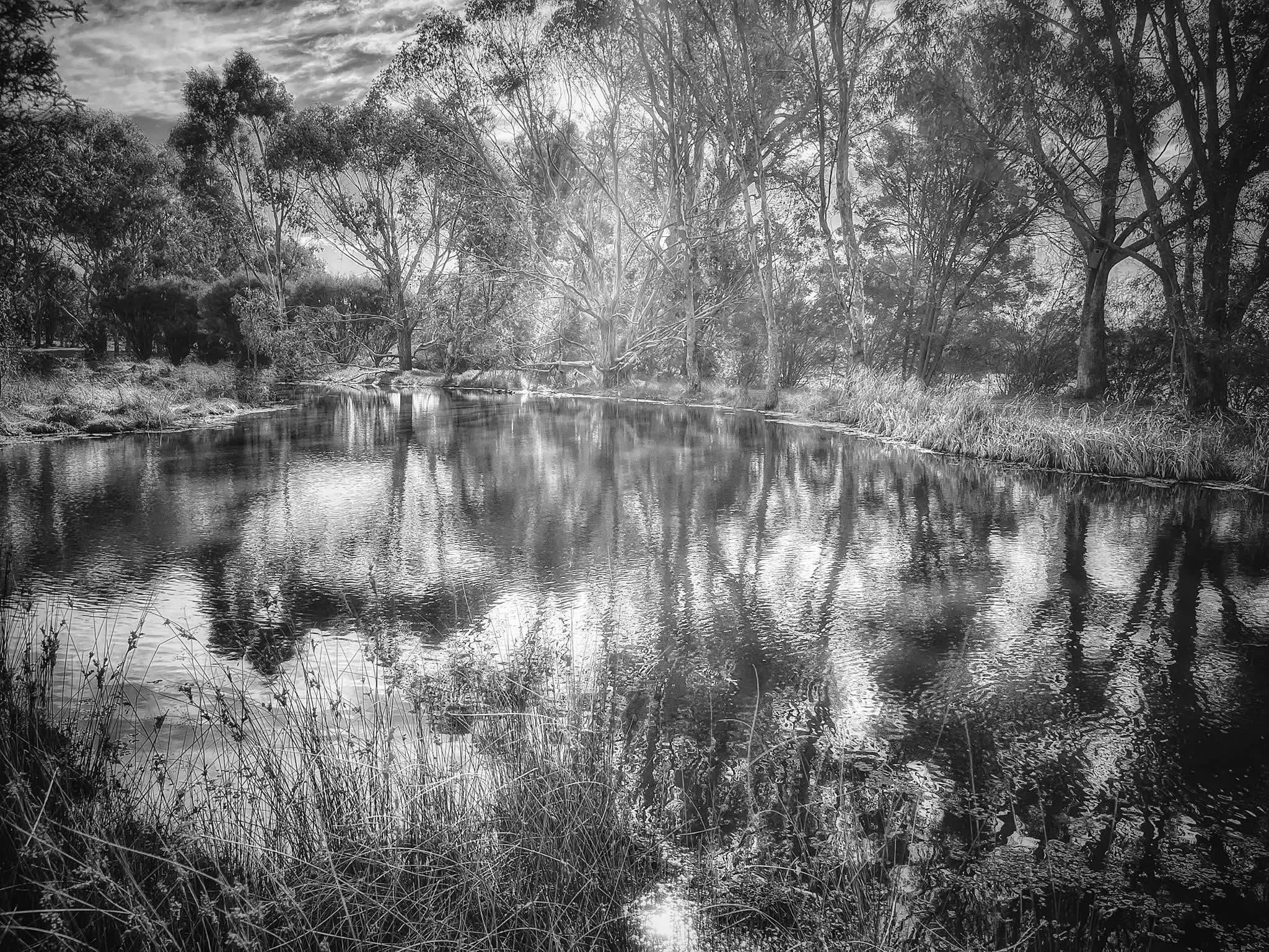 Take in Colour Think in Black &amp; White