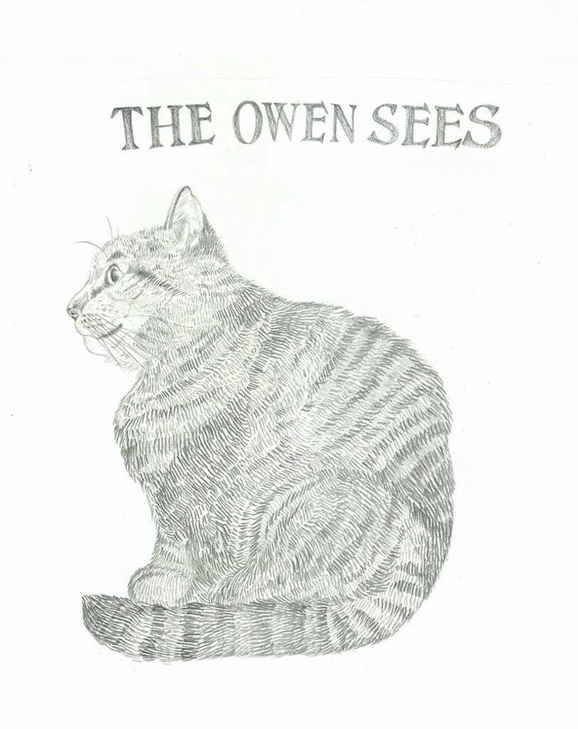 The Owen Sees