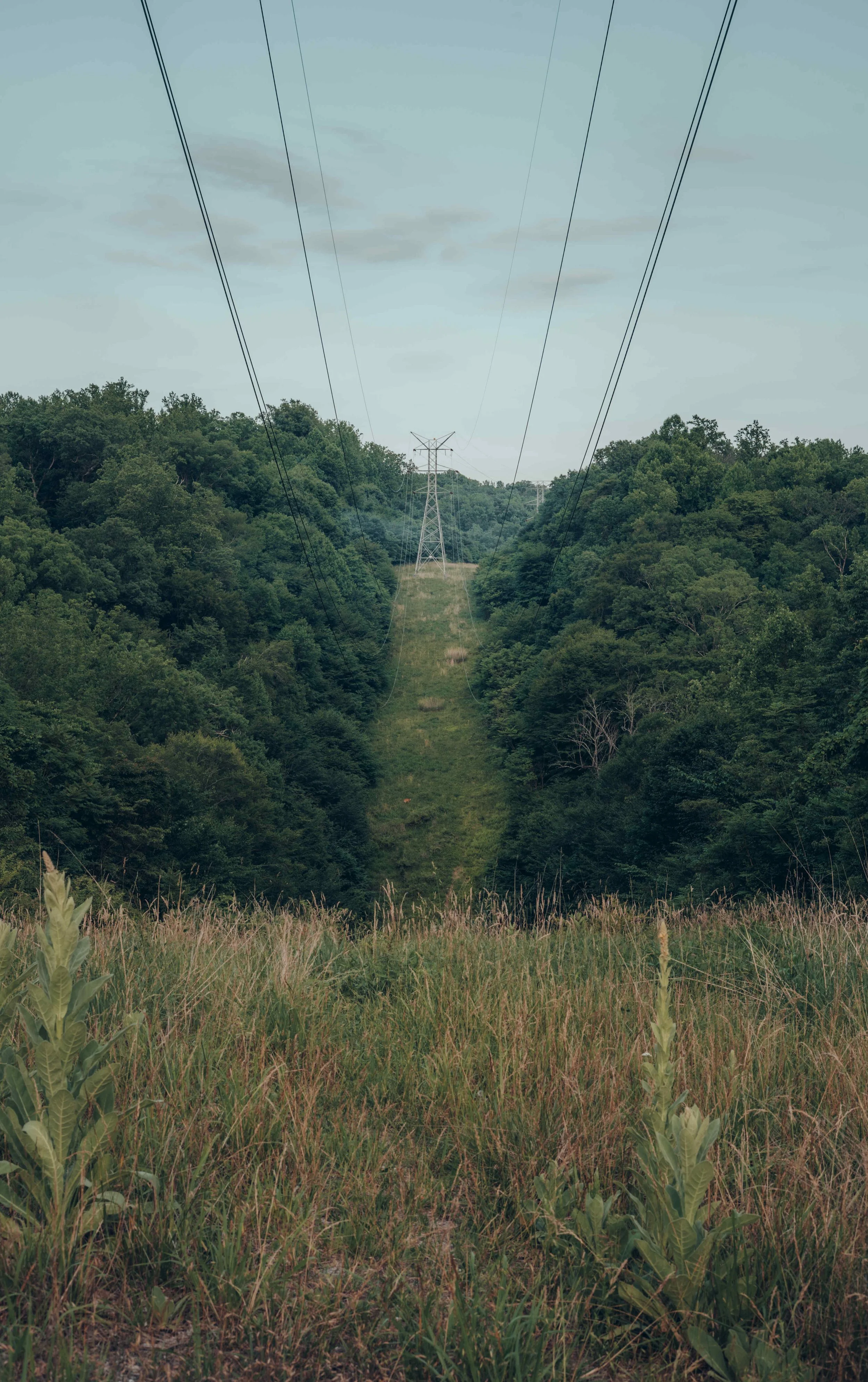 Electrical power lines running through a wooded area with green trees and a cloudy sky.