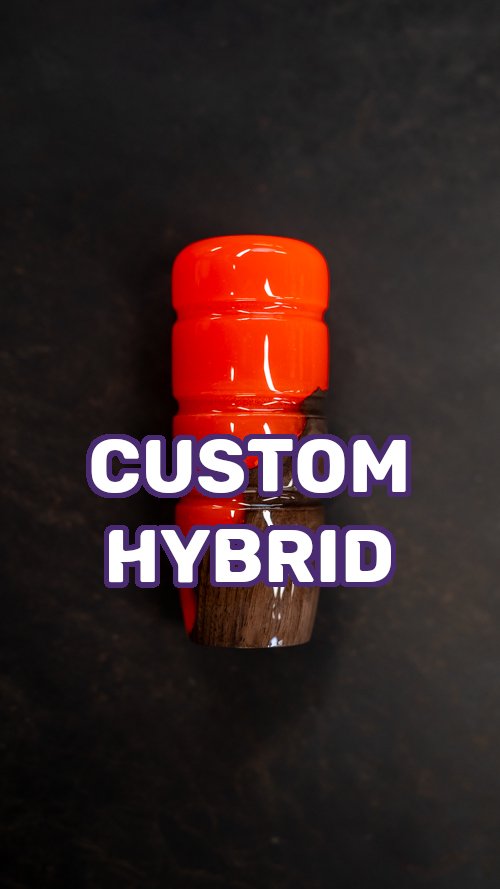 hybrid1.jpg