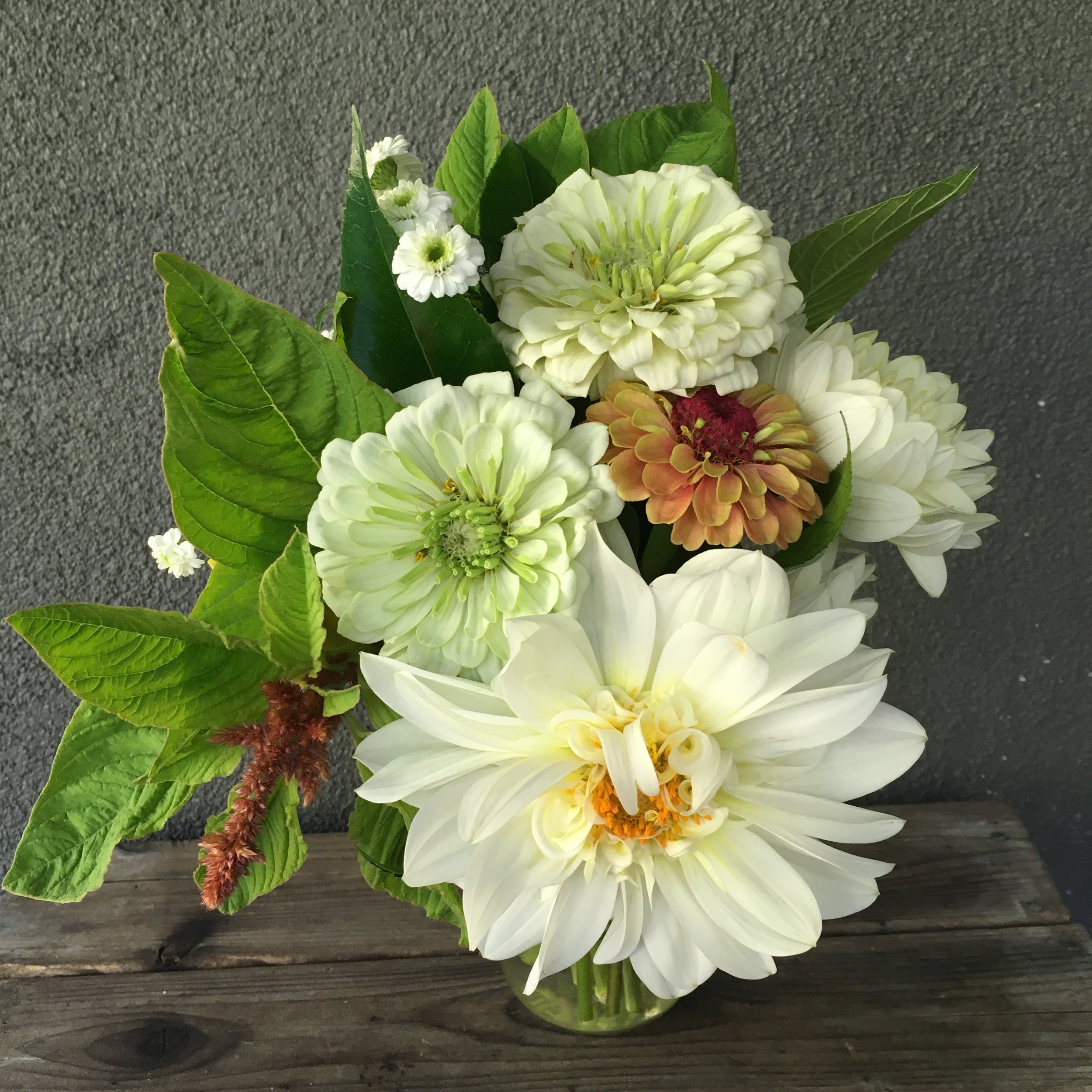 Bouquet, Short Stem Summer.jpeg