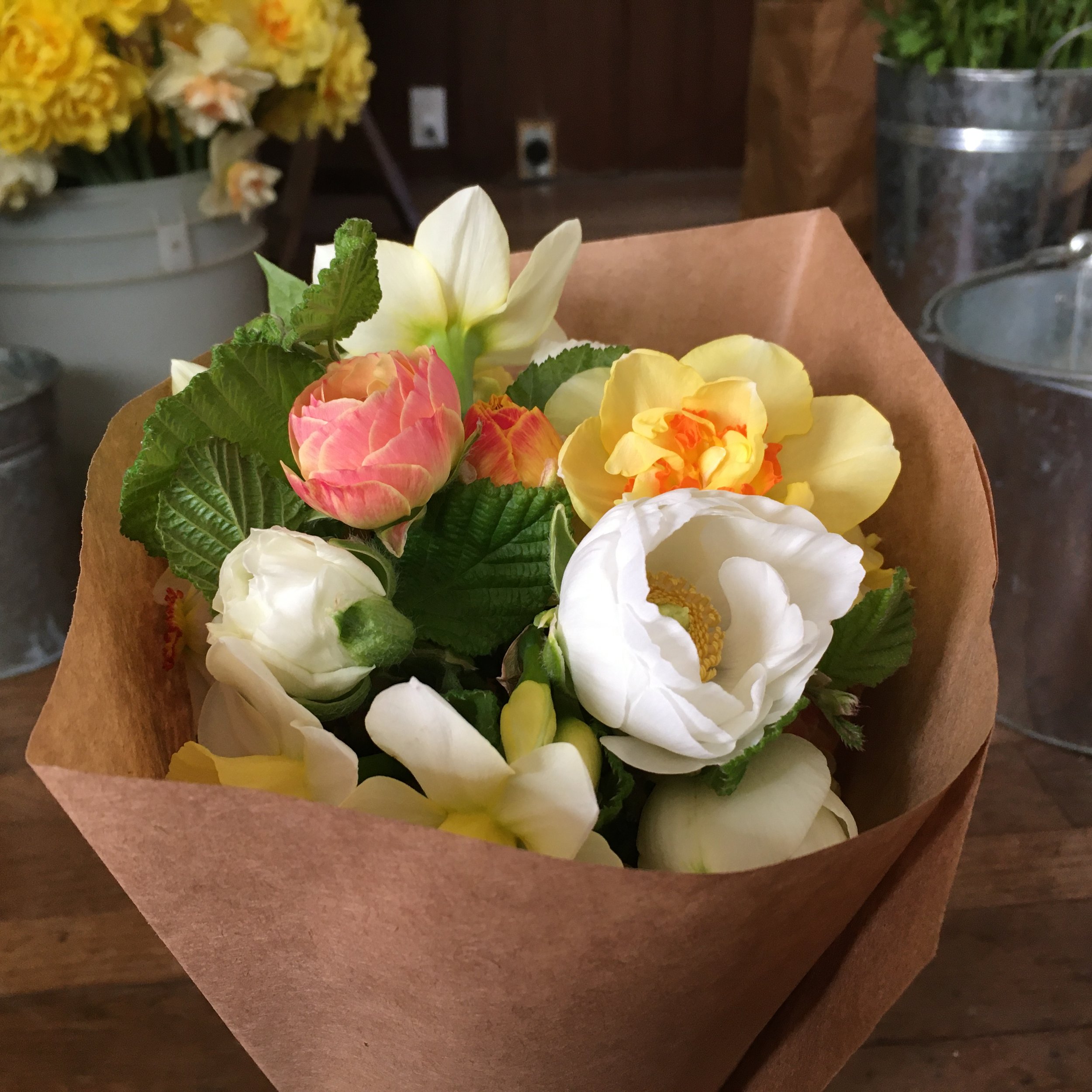 Posy, Spring.jpeg