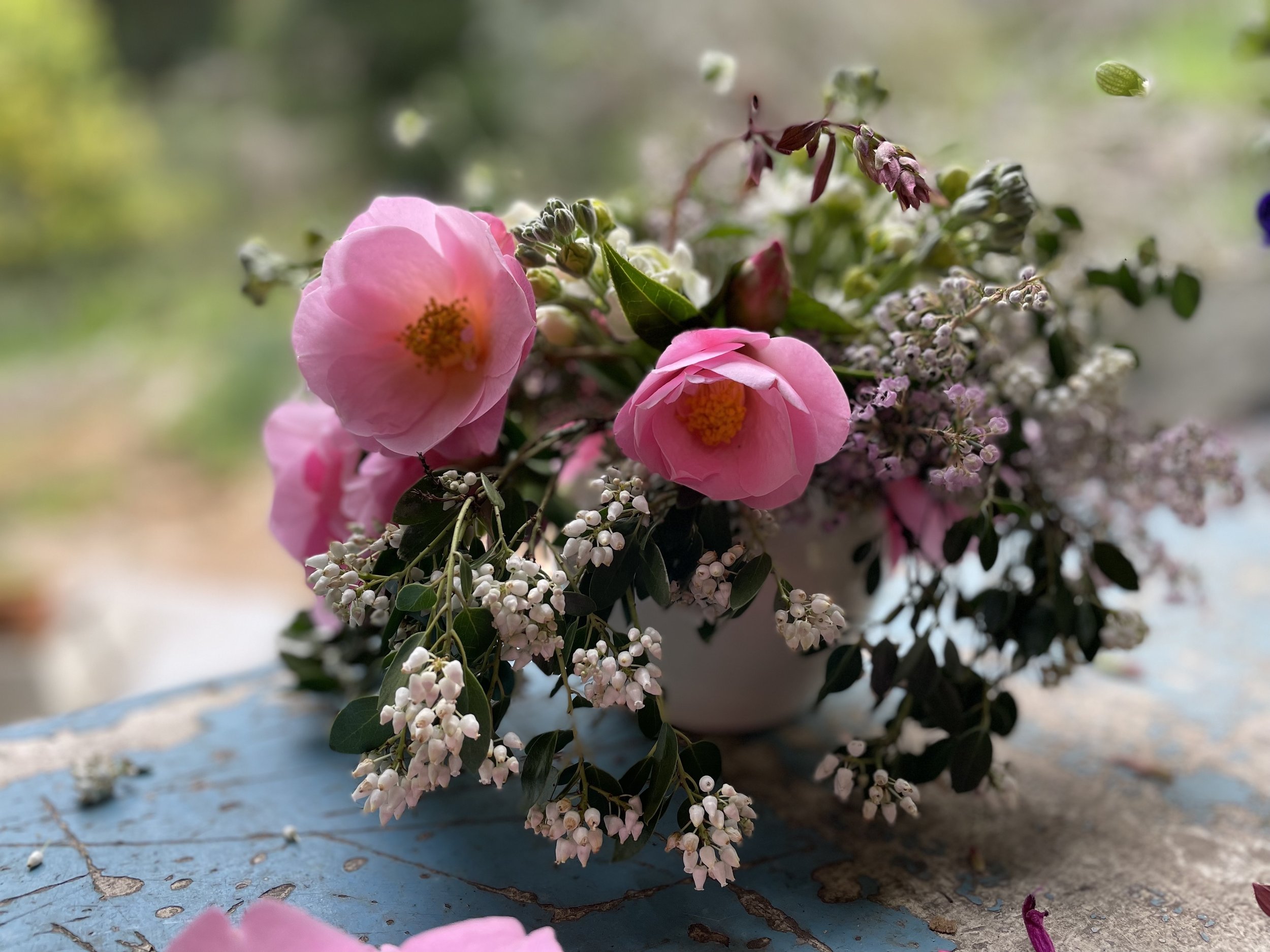 A Year in Flowers, February 2022.jpg