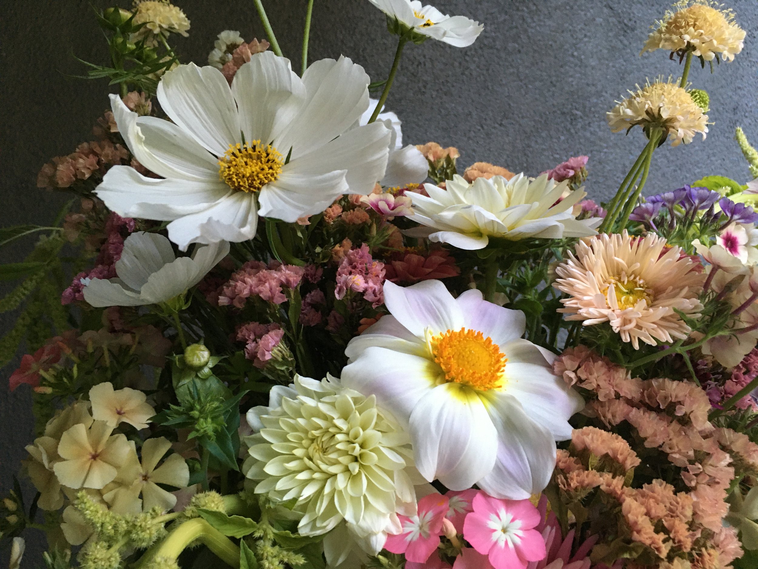 August 15 Flowers.jpeg