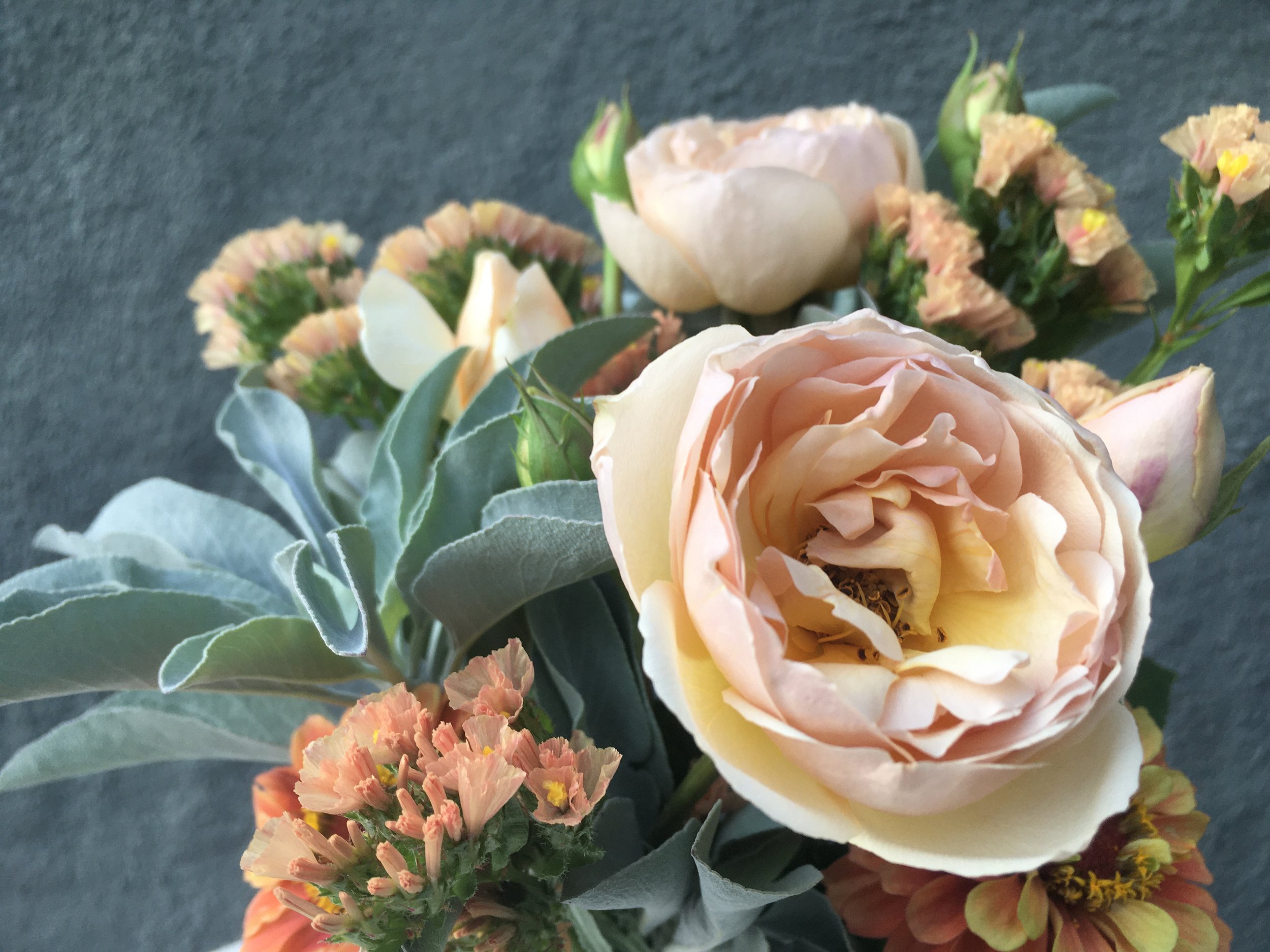 Aug. 8 Short Stem Bouquet.jpeg