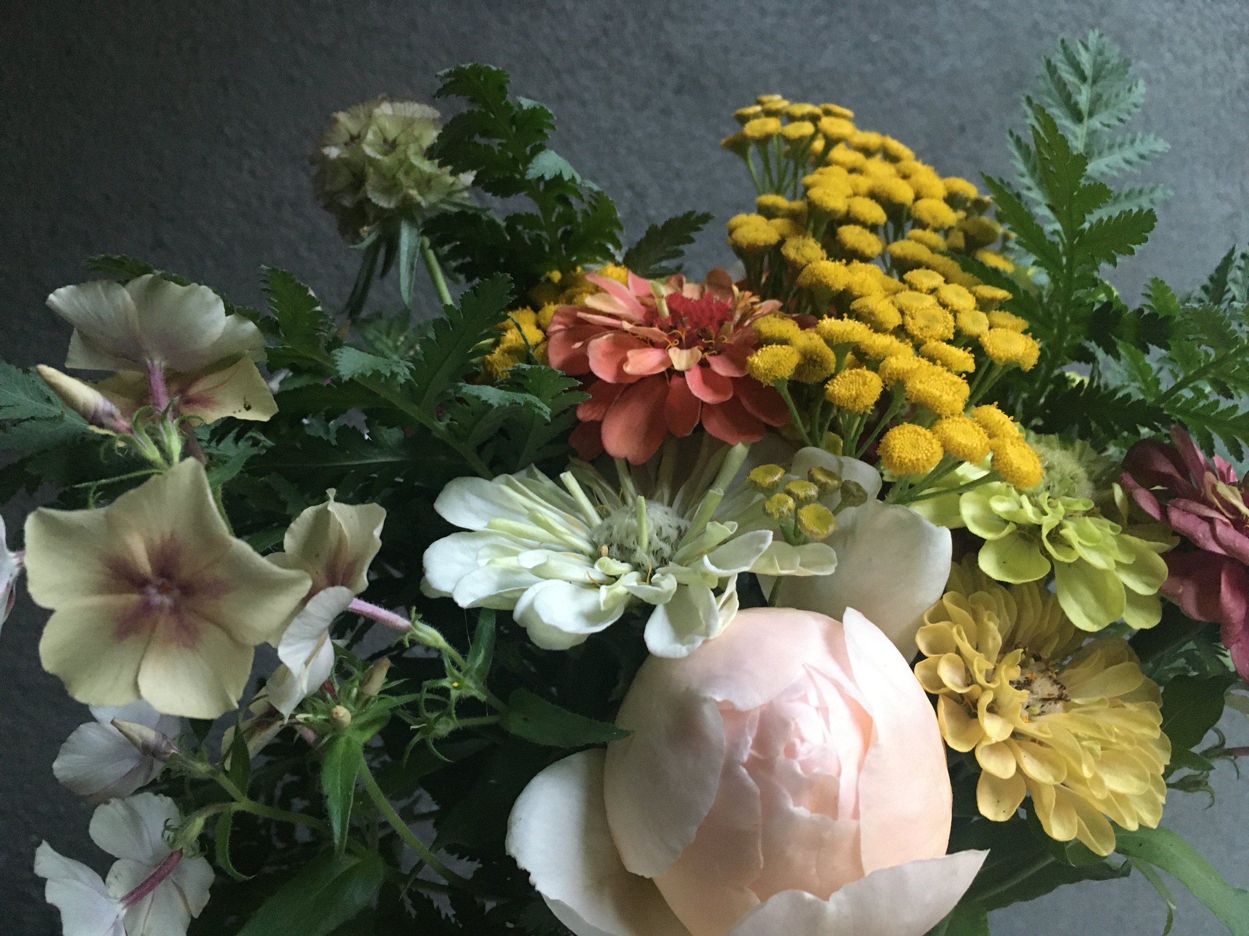 October 26 Flowers.jpeg
