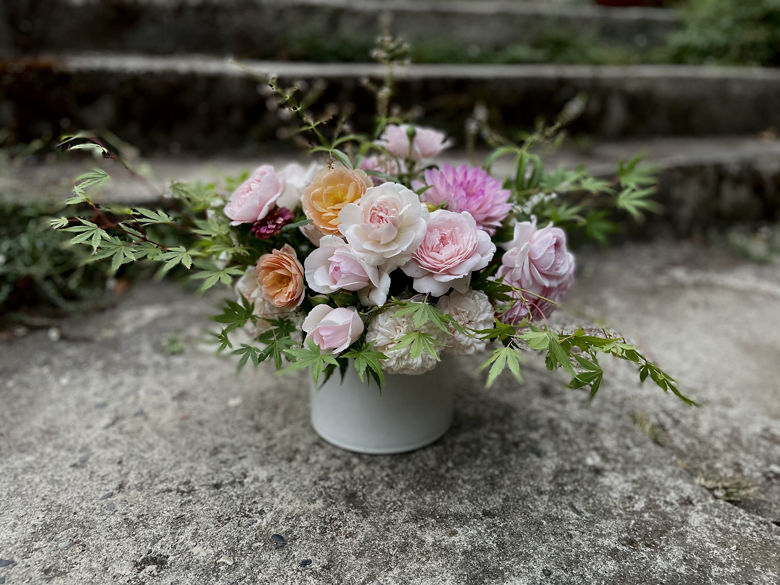 A Year in Flowers, September 2022.jpg