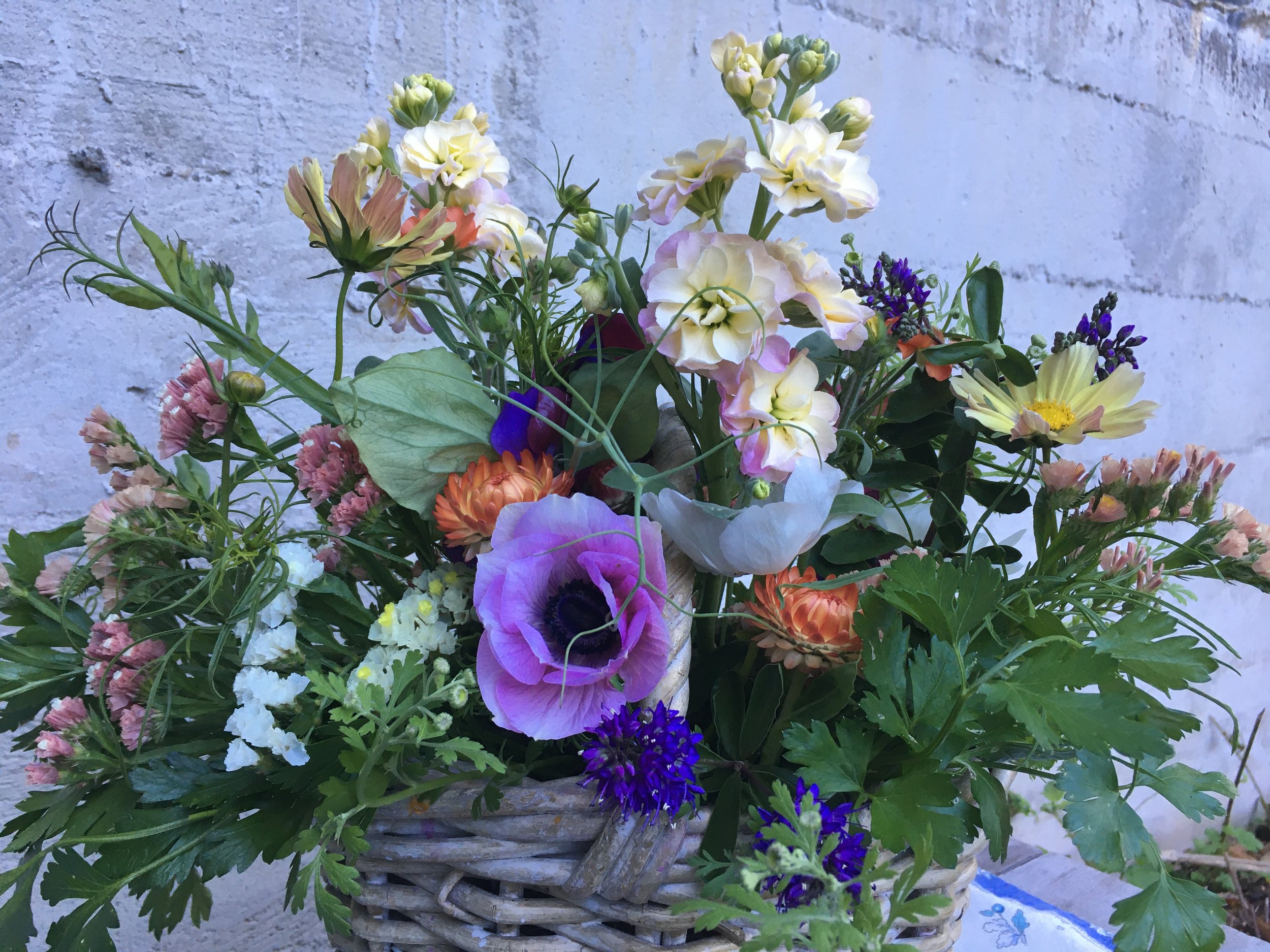 May 25 Bouquet.jpeg