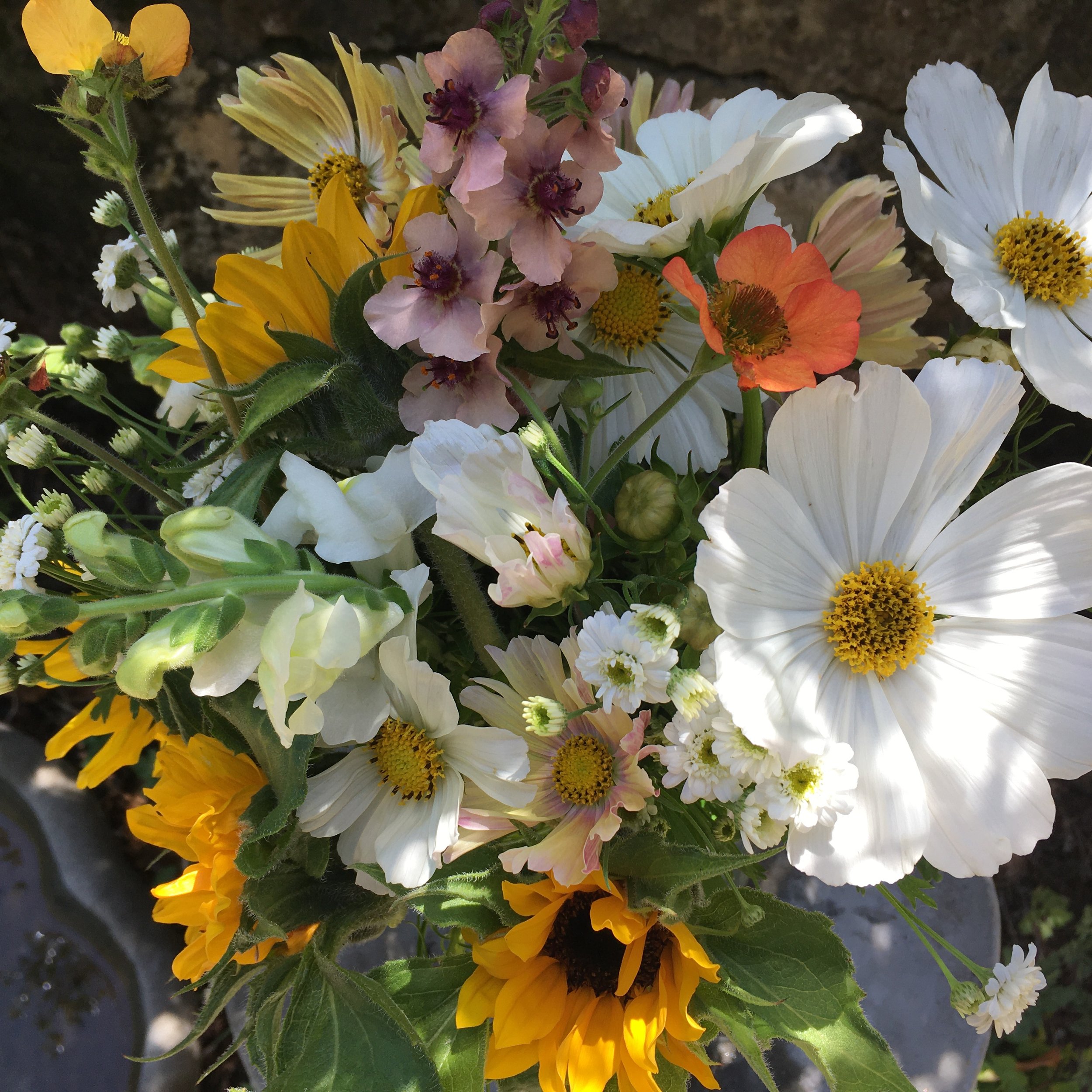 June - year in flowers.jpeg