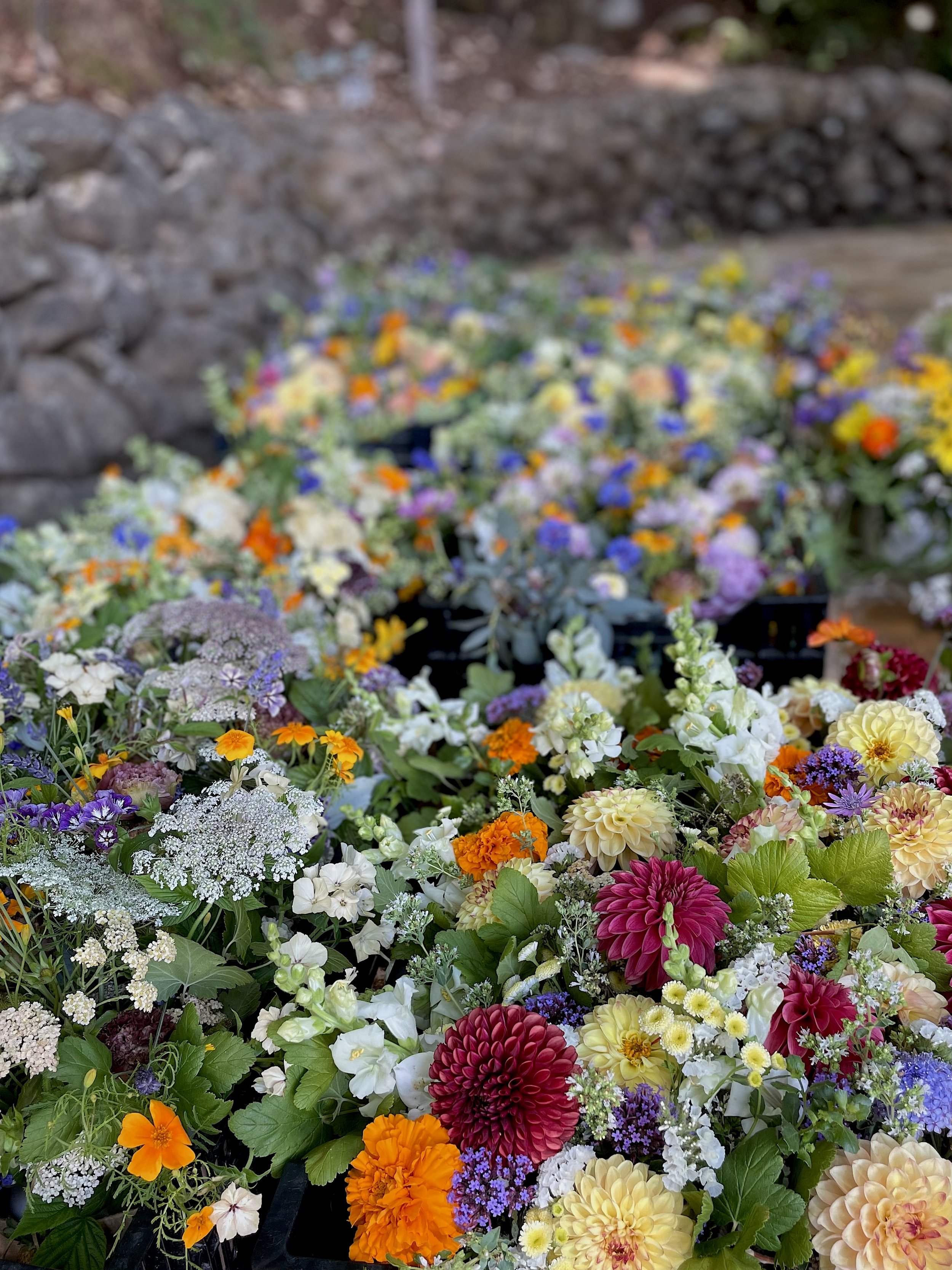 Delivered A la Carte Flowers.jpg