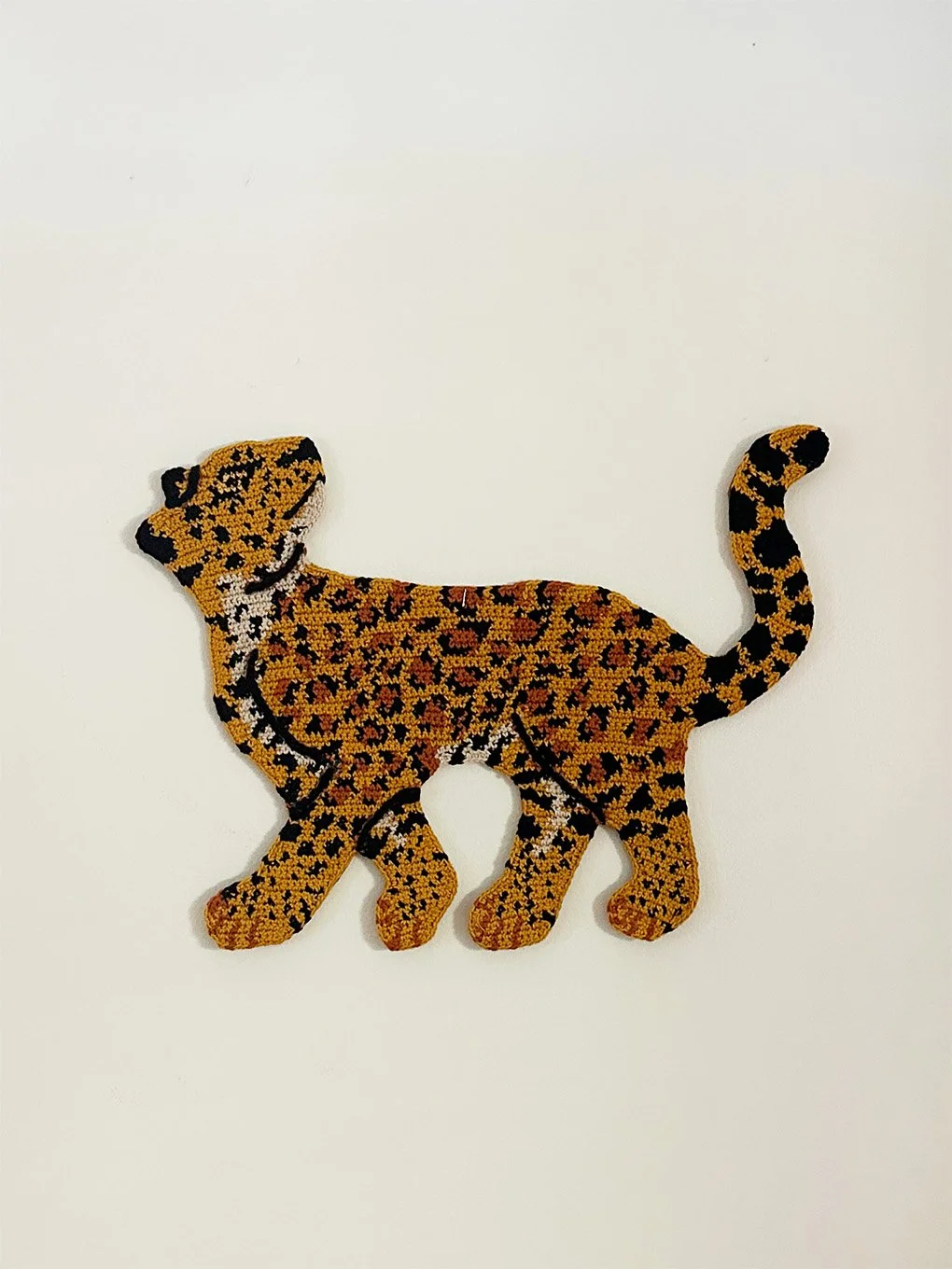 leopard.jpg