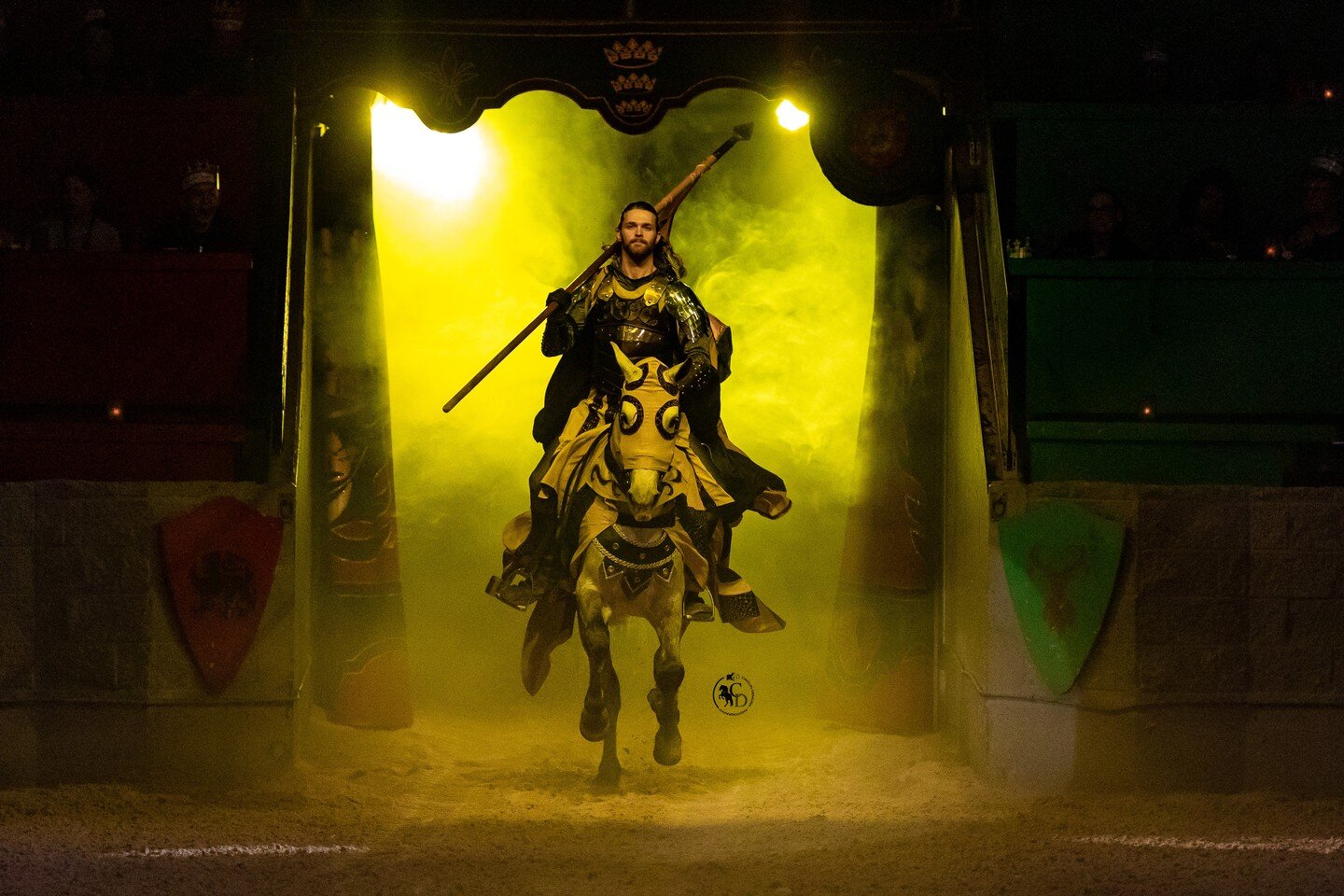 As much as I hate sitting on the opposite side of the entrance it does come out to be some epic shots with the back lights. 
#yellow #yellowknight #knight #medievaltimes #mtfan #mt #mtdallas #medievaltimesdallas #dallas #texas #caitlindemura #grey #a