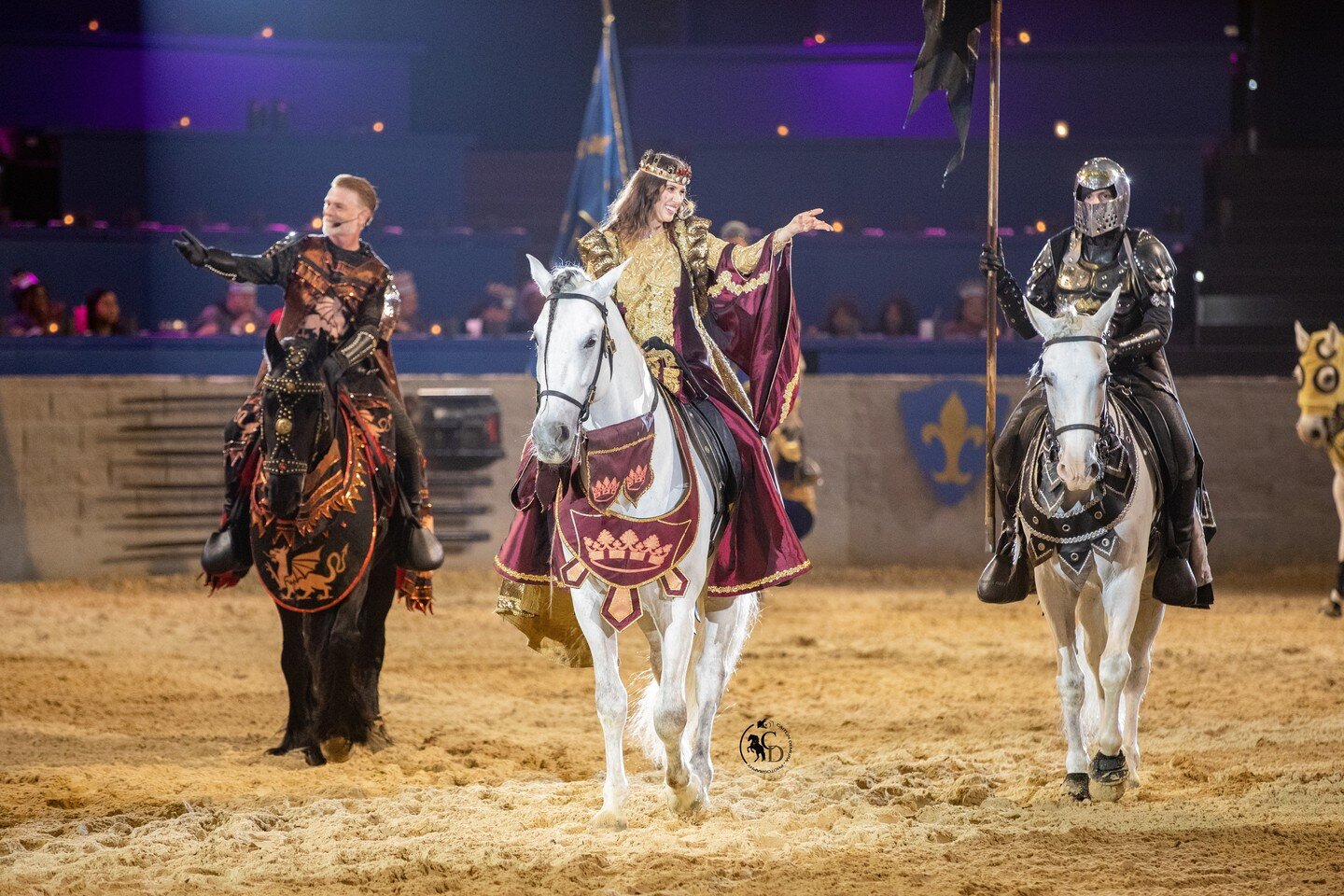 #queen #knight #chancellor #hermajesty #queensguard #guard #andalusian #andalusiansofinstagram #friesian #friesiansofinstagram #medievaltimes #mtfan #mtdallas #medievaltimesdallas #stallion #gelding #horse #horsesofinstagram #equine #equinesofinstagr