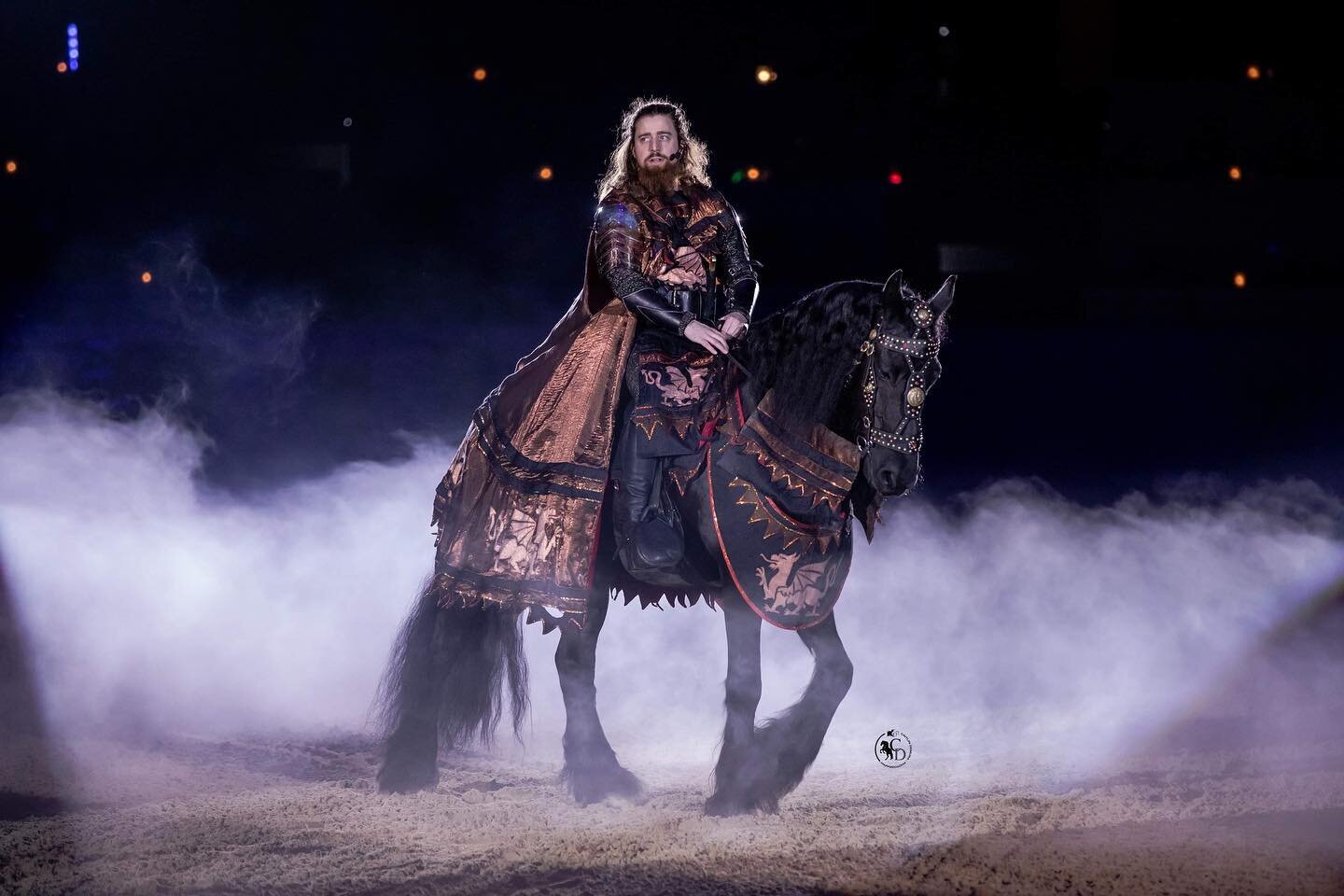 #black #friesian #friesiansofinstagram #gelding #horse #horsesofinstagram #equine #equinesofinstagram #mtdallas #medievaltimes #medievaltimesdallas #mtfan #caitlindemura #chancellor #knight #royalty #texasphotographer #equinephotography #northtexaseq