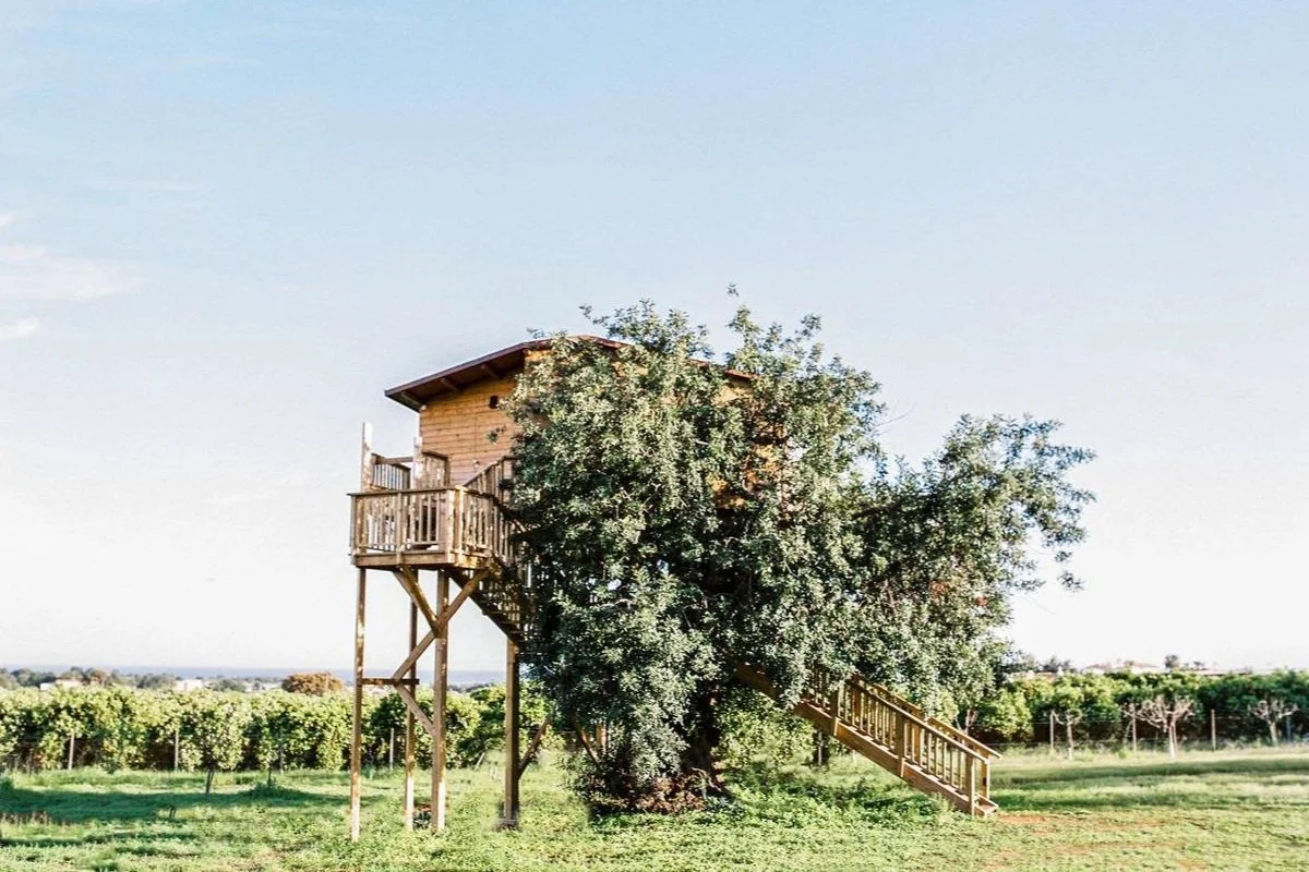 Conversas de Alpendre