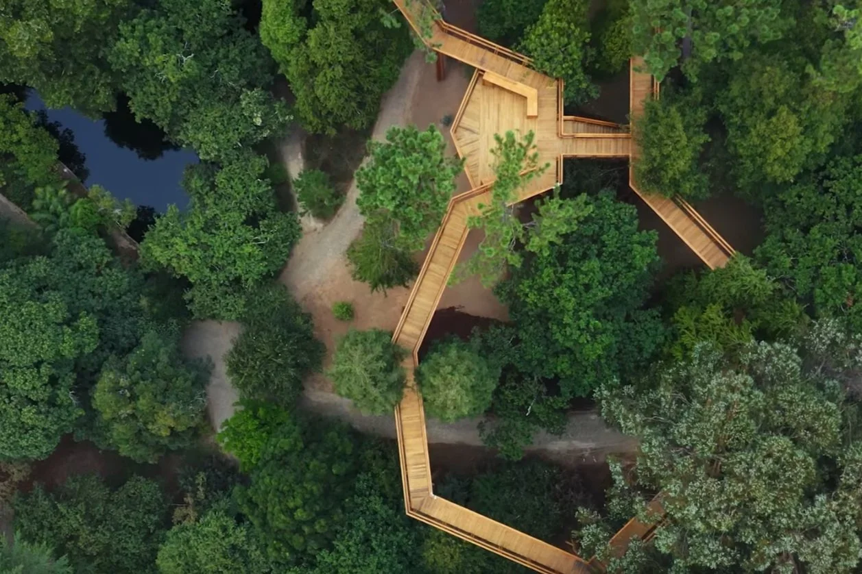 Treetop Walk Serralves