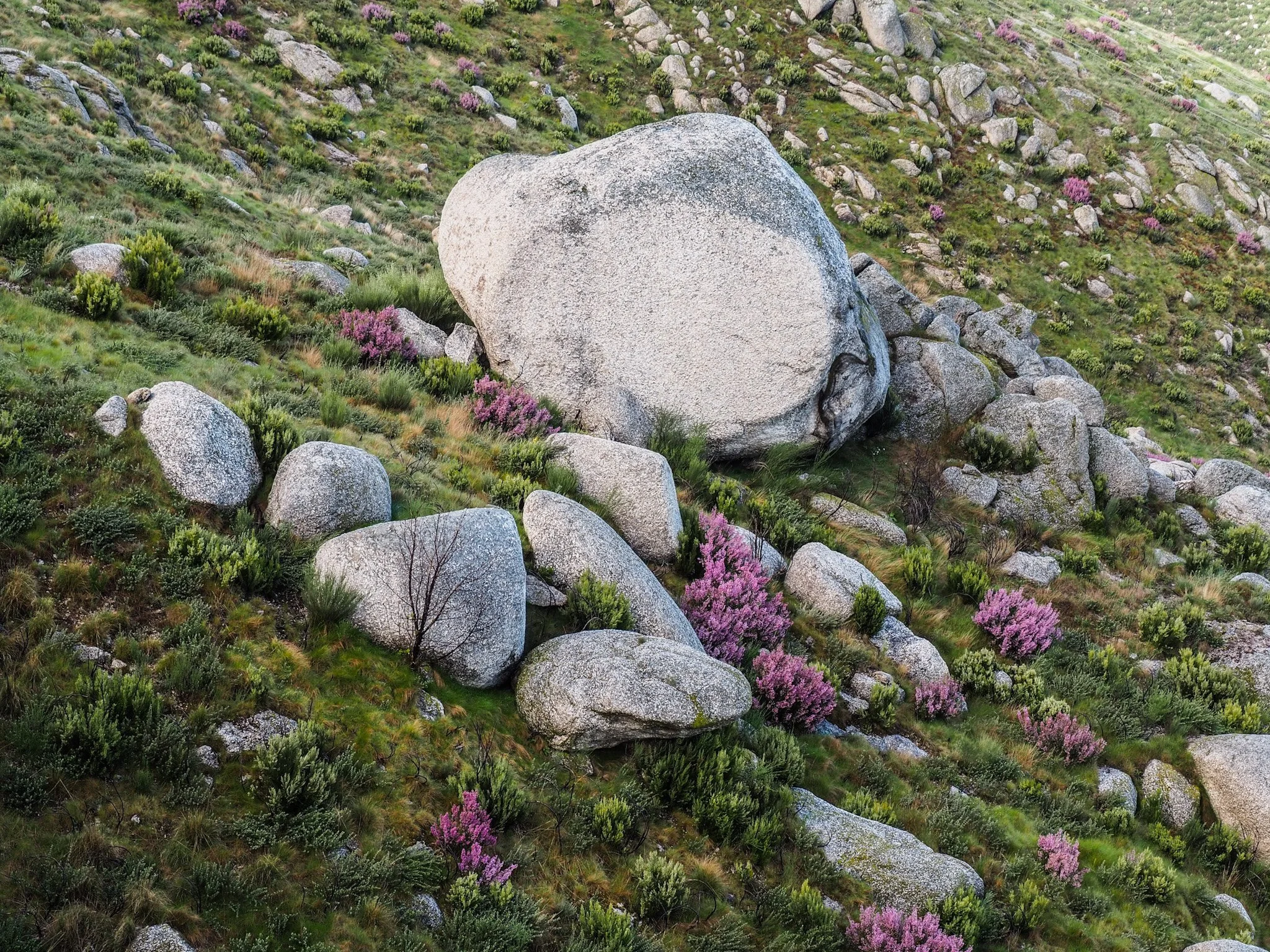 Surprising &amp; Unknown