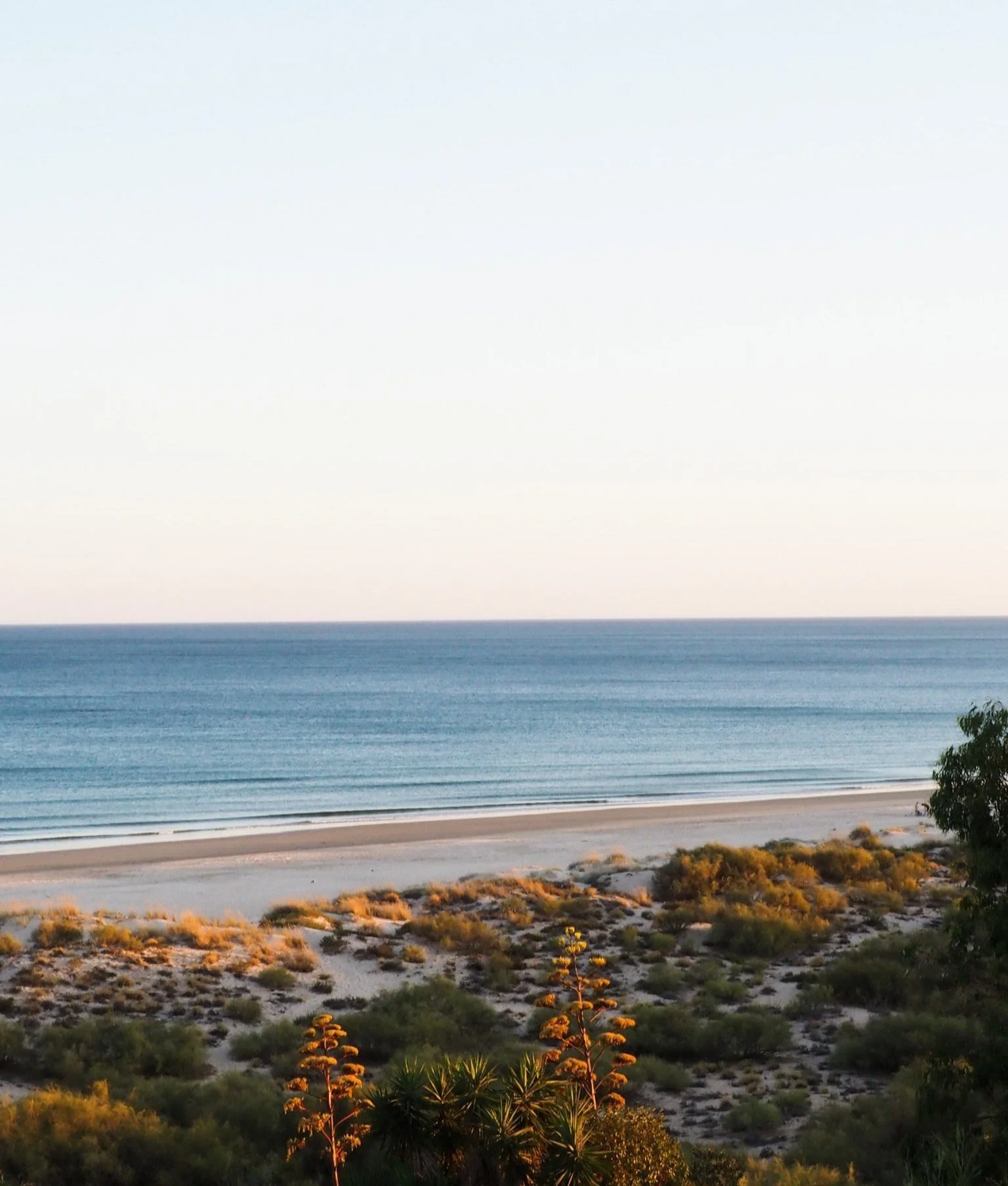 300 Days of Sunshine