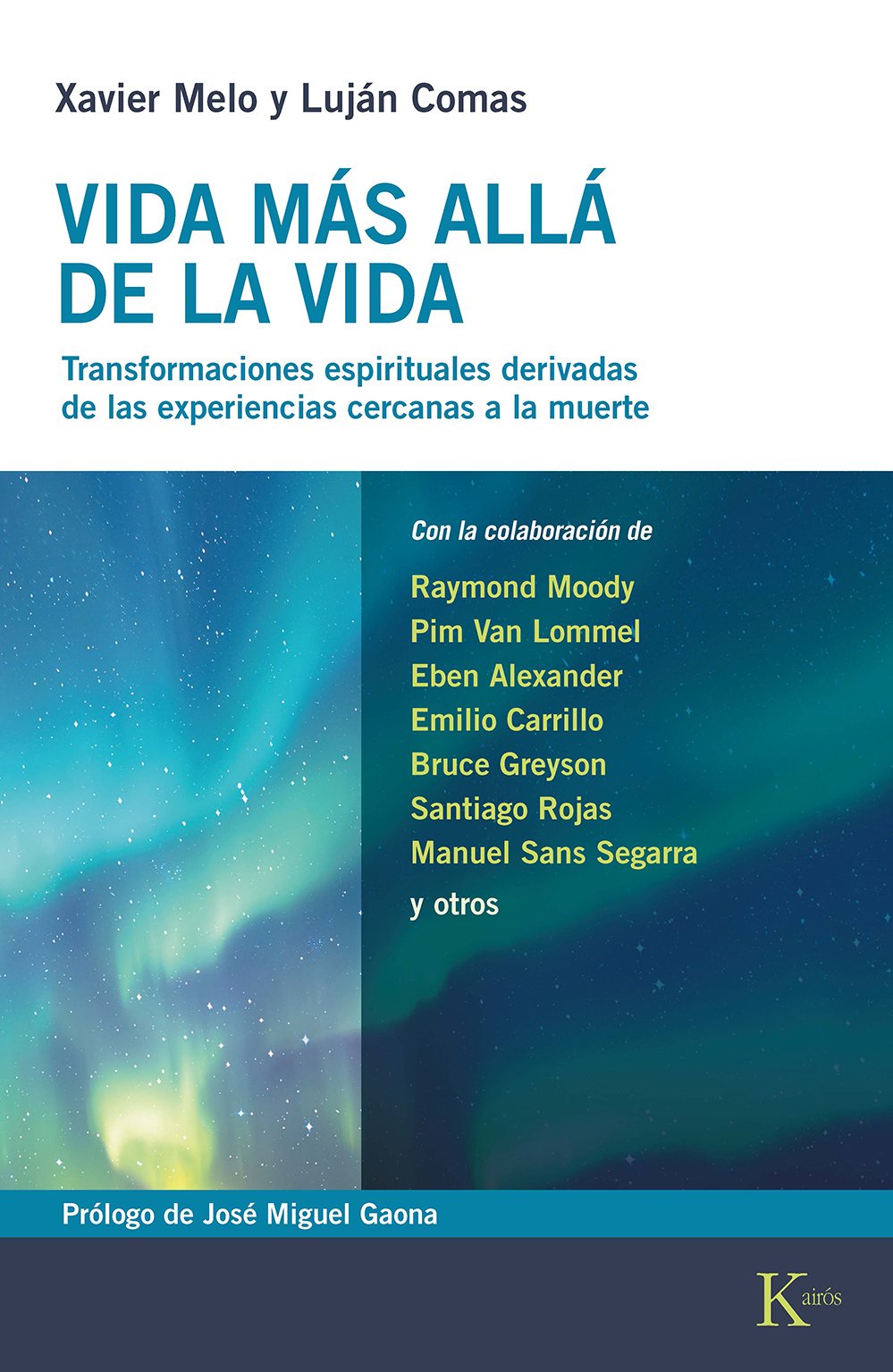 Vida más allá de la vida (Edición en papel)