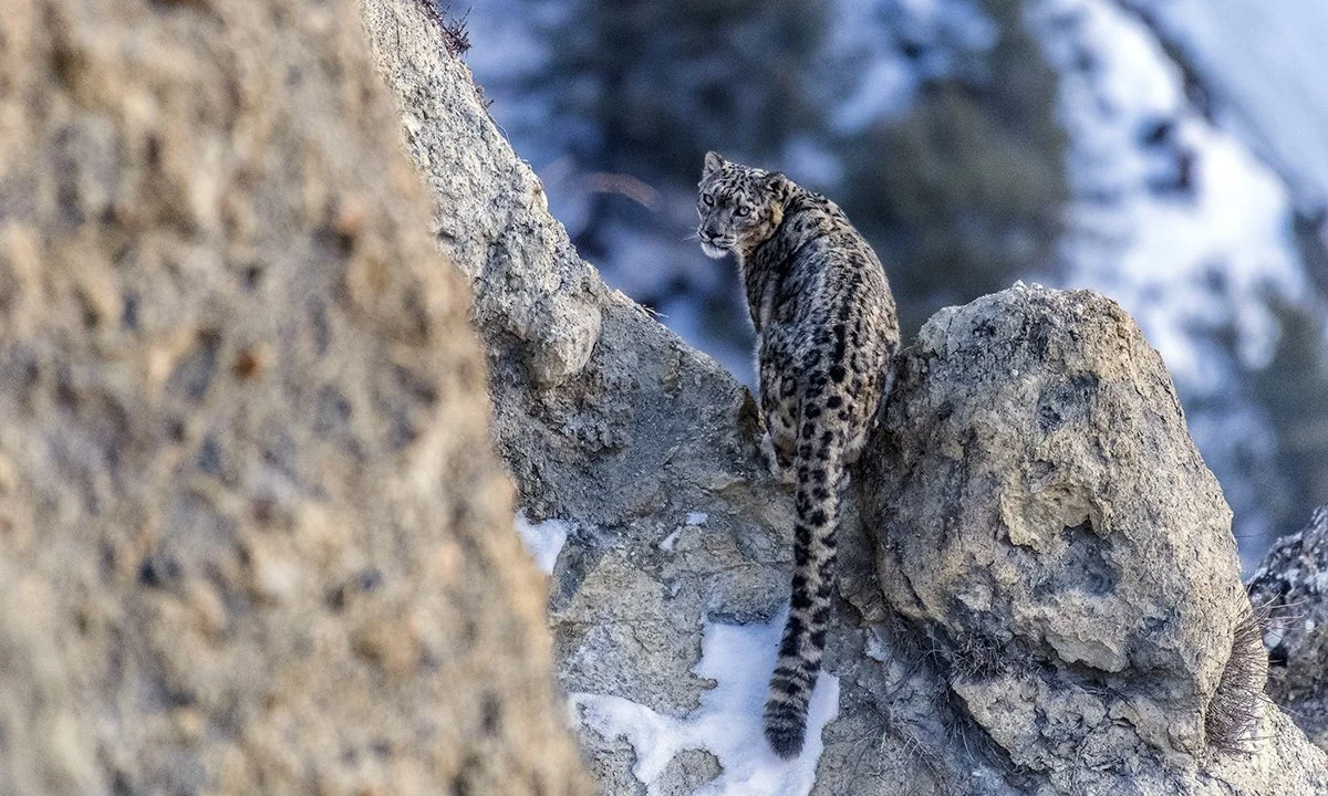 Photo: Tashi R Ghale