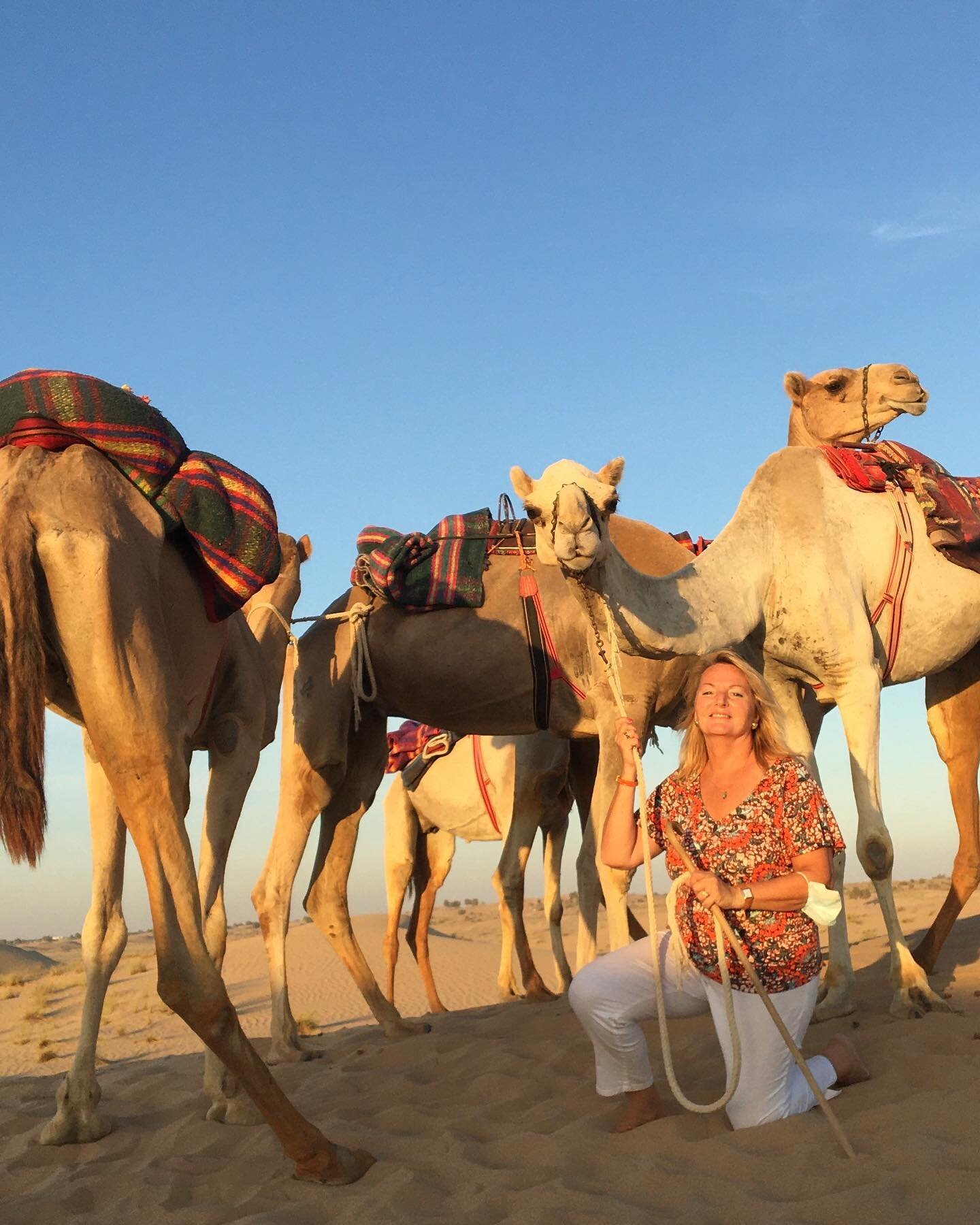 Happy International Camel Day 🐪🤩 There is no better way to celebrate it than going on an authentic Bedouin Camel ride 🐪😻 with our fantastic Guide Yannick 💙#camels #camellovers #mydubai🇦🇪 #dubaidesert #dubaiwildlife #yaydubai #thecamelfarmdubai