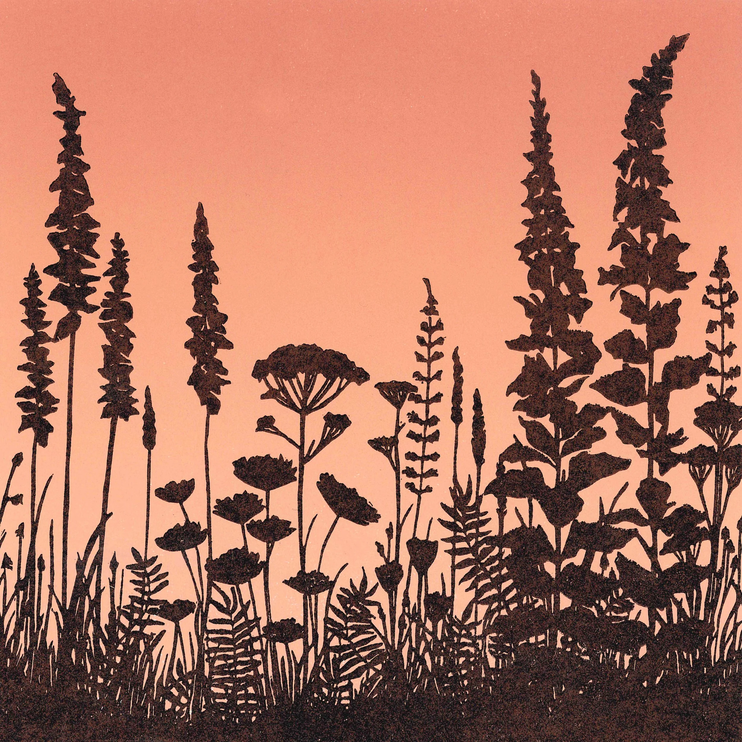 Wildflowers small.jpg