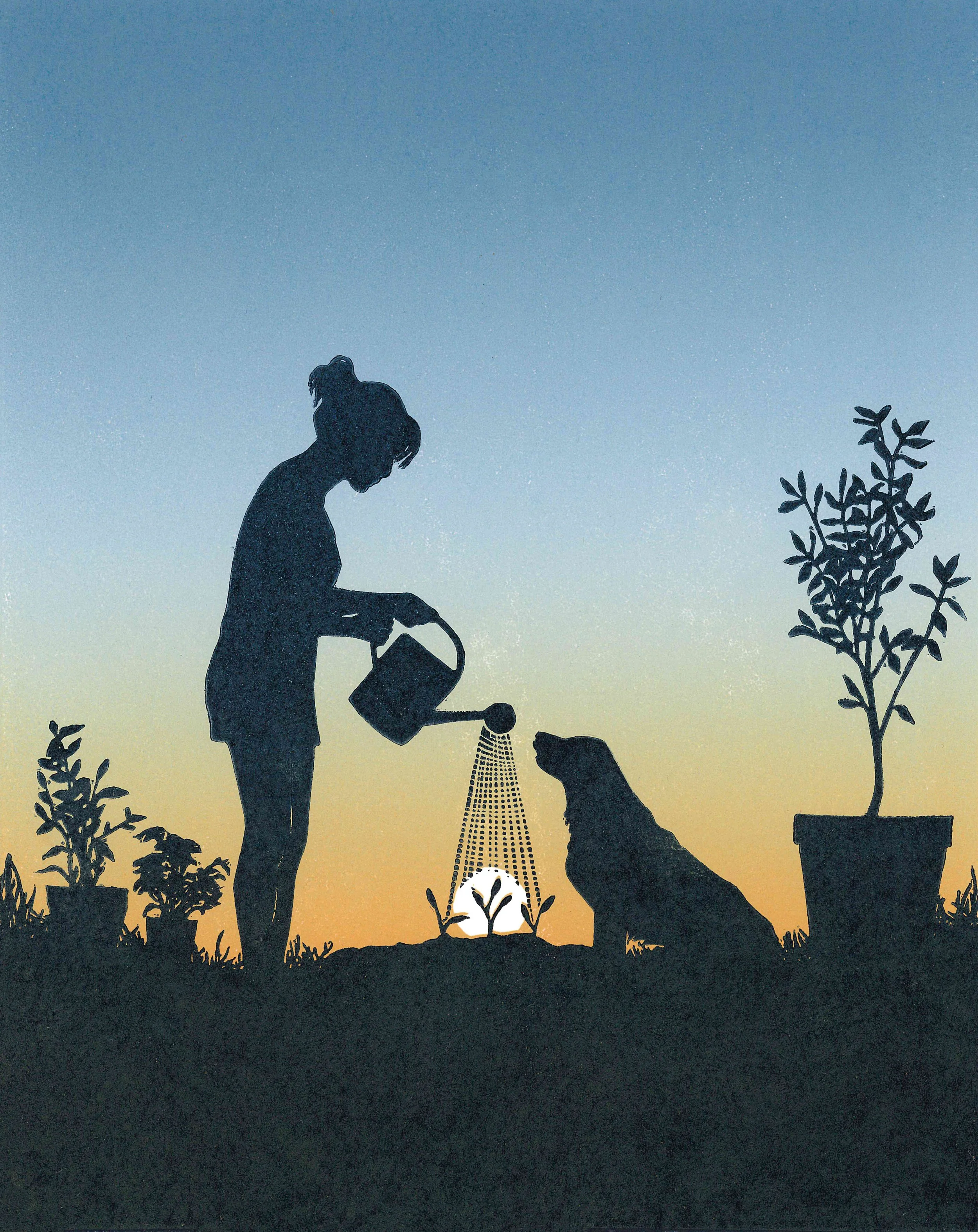 Watering the Seedlings, small.jpg