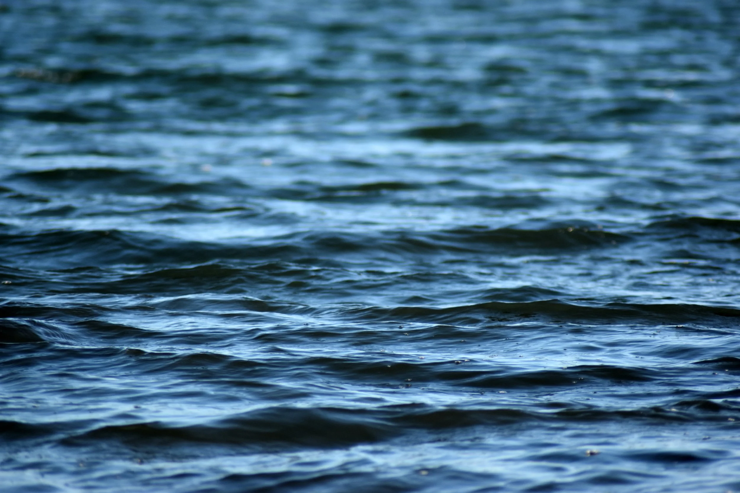 Close-up of ocean water with gentle ripples and small waves, by artist Megan Hall