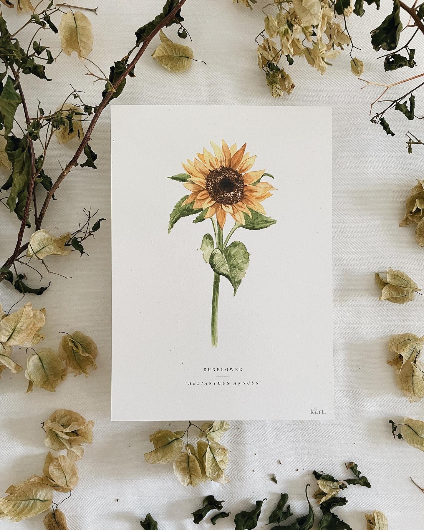 New ART PRINTS 💛💐

These art prints were created using some of our favourite floral and fruit artworks from the Natura collection prints featured in our 2024 Calendar and Diary 🫶🏽 Each print features one of six different artworks from the collect